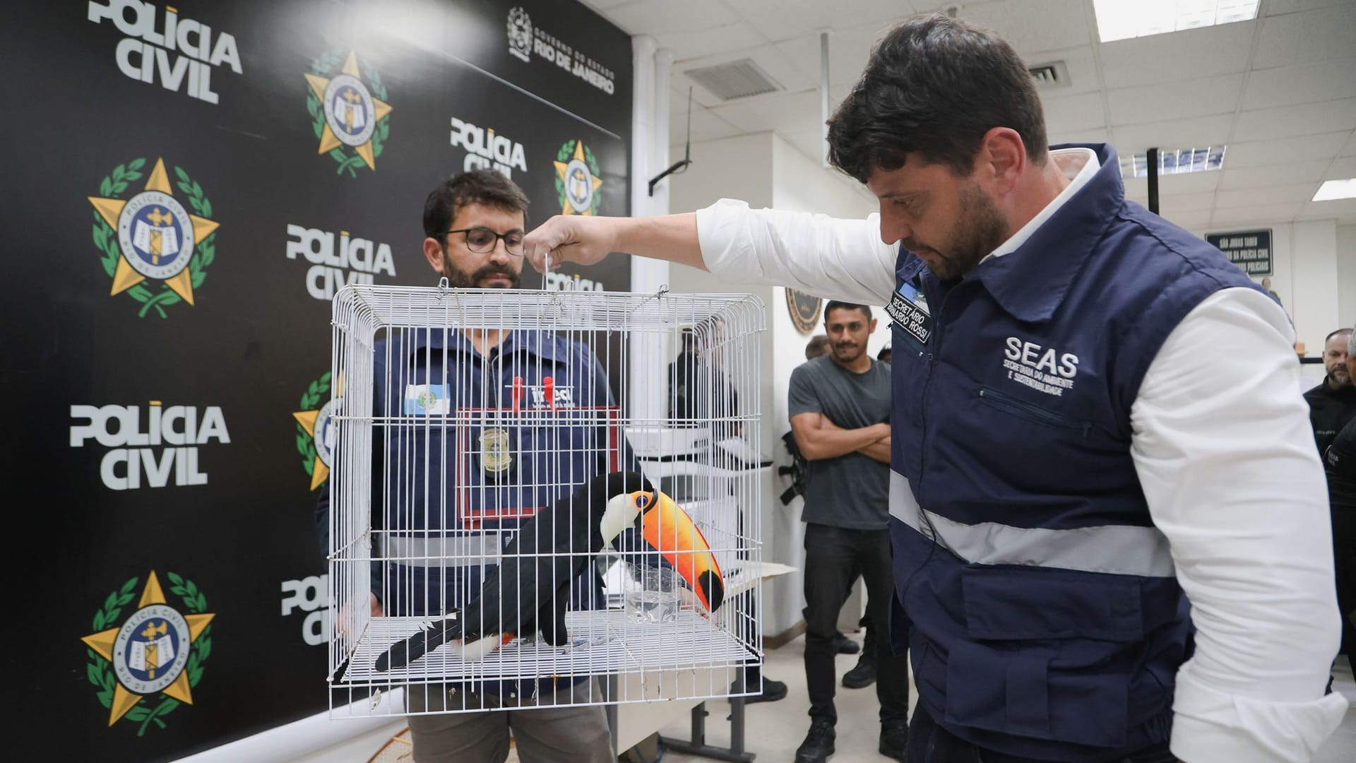 Großer Schlag gegen den illegalen Tierhandel in Brasilien Großer Schlag gegen den illegalen Tierhandel in Brasilien