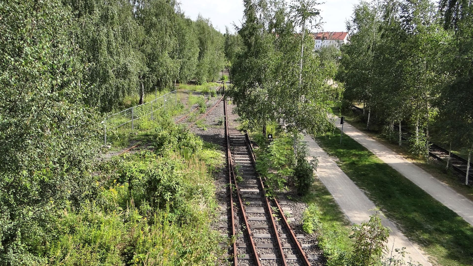 Ringgleis-Weg am Westbahnhof (Archivbild): Die alte Bahntrasse eignet sich gut, um das naturnahe Braunschweig zu erkunden. Ringgleis-Weg am Westbahnhof (Archivbild): Die alte Bahntrasse eignet sich gut, um das naturnahe Braunschweig zu erkunden.