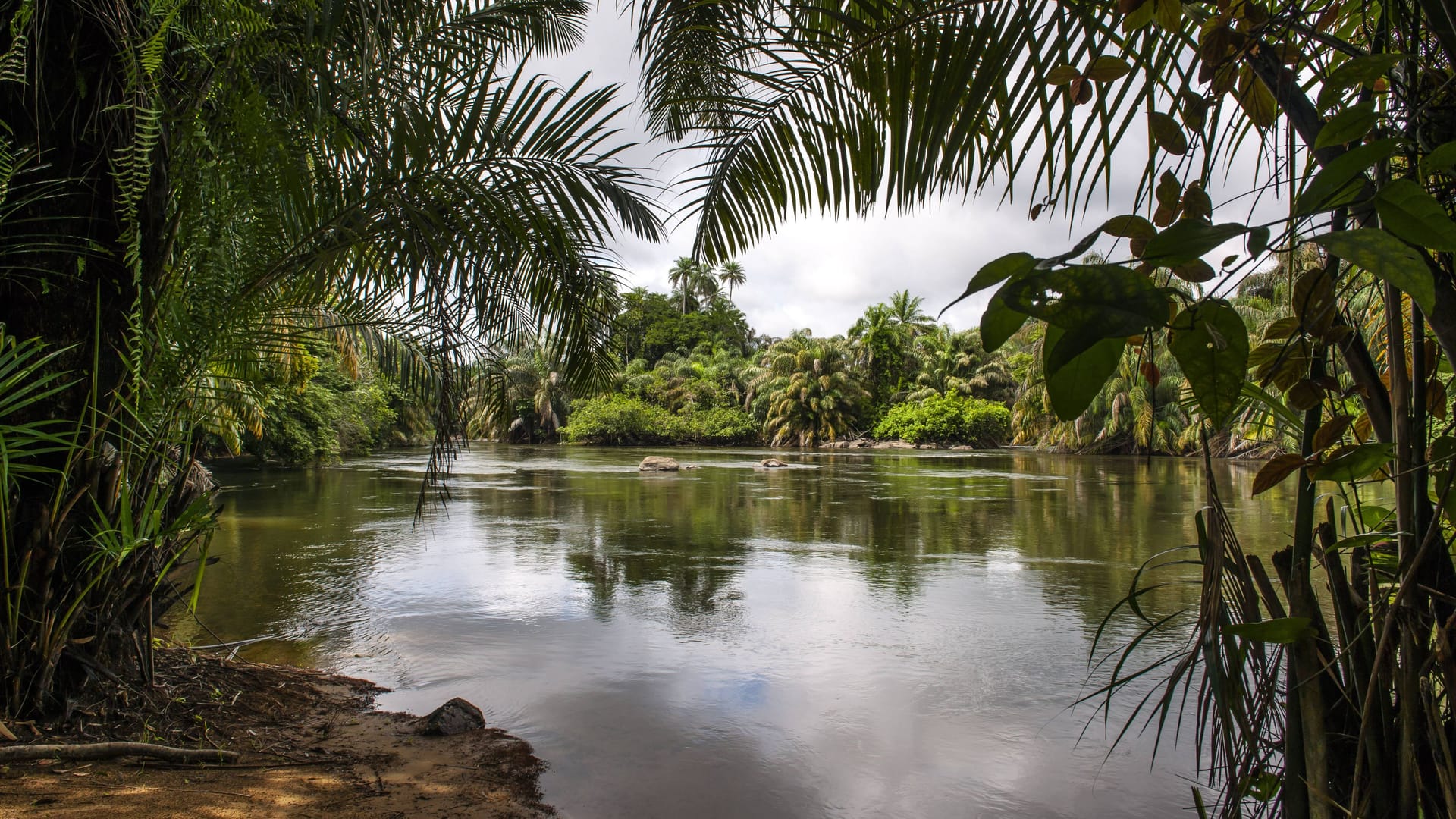 Das Tiwai Island Wildlife Sanctuary auf einer Insel im Moa River, Tiwai Island, Southern Province, Sierra Leone. Das Tiwai Island Wildlife Sanctuary auf einer Insel im Moa River, Tiwai Island, Southern Province, Sierra Leone.