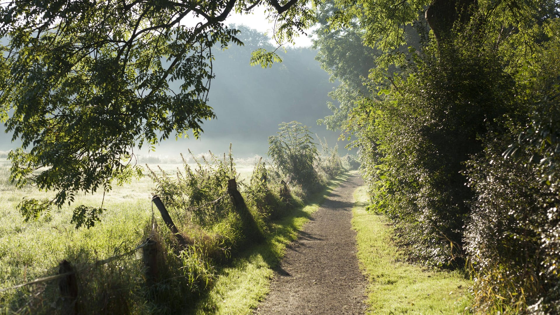 imago 70881428 imago 70881428