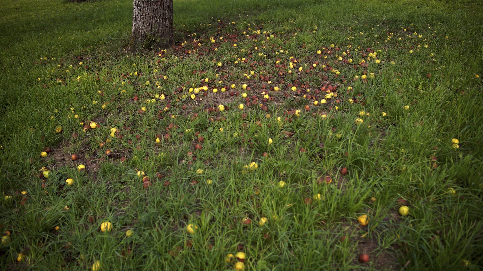 imago images 0834341215