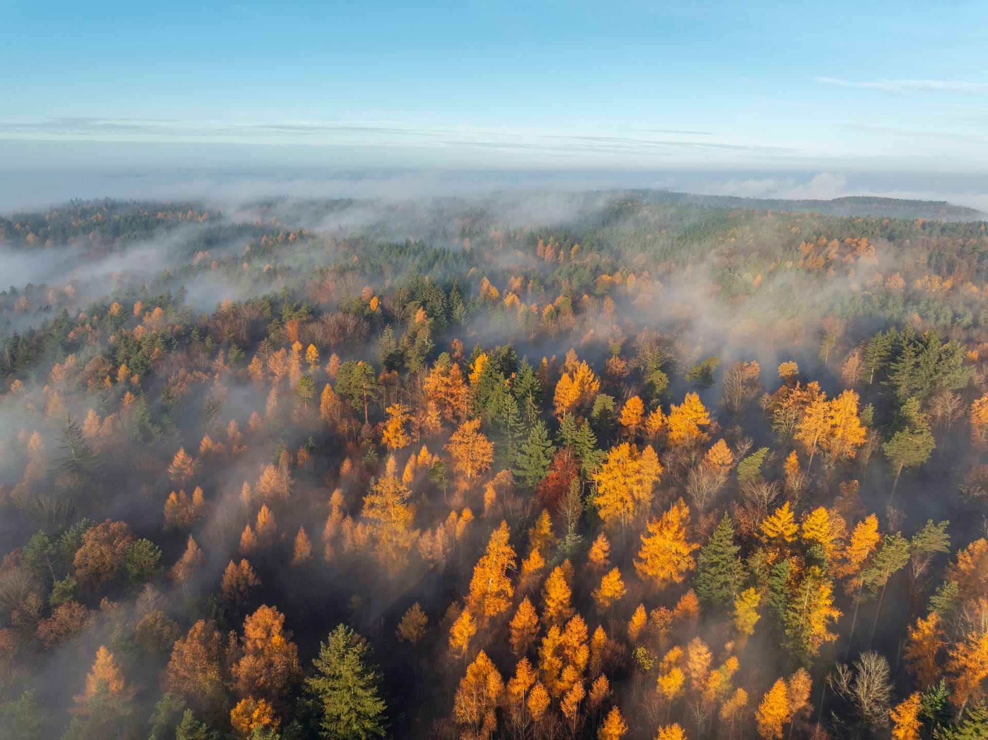 imago images 0820747231