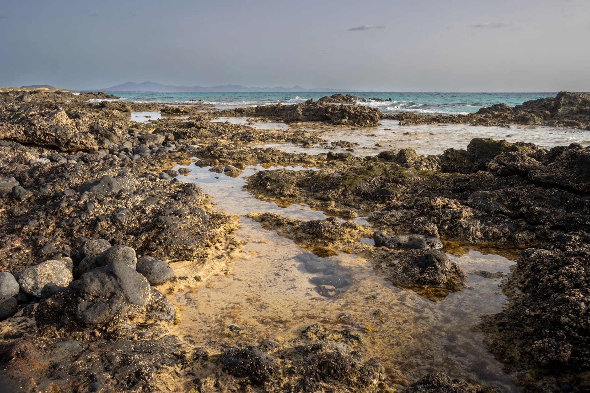 Fuerteventura: Die Felsen des Parque Natural de Corralejo treffen auf die Wassermassen des Atlantischen Ozeans.