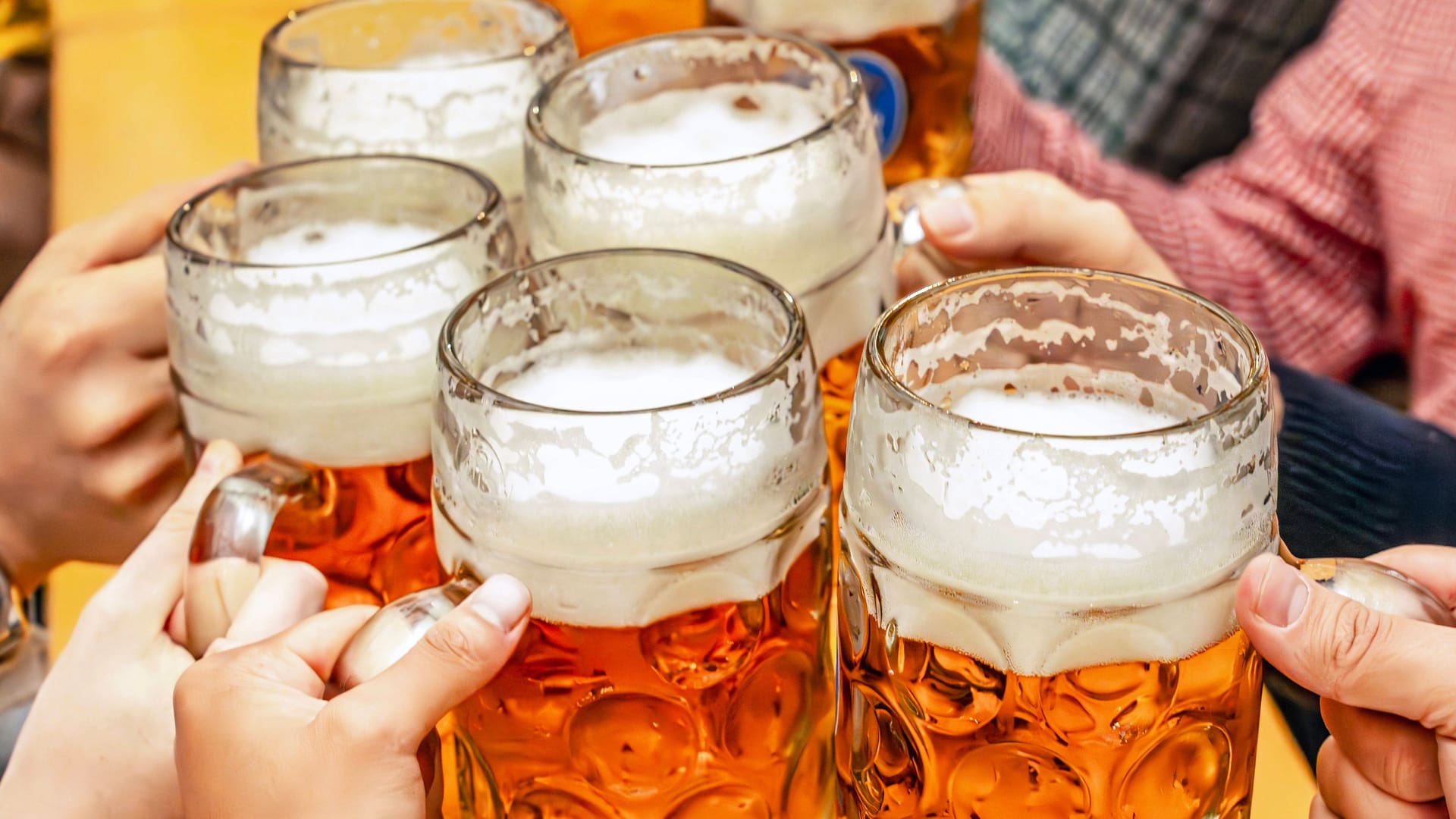 Oktoberfest-Besucher stoßen mit Bier an (Archivbild): Oktoberfest-Besucher stoßen mit Bier an (Archivbild):