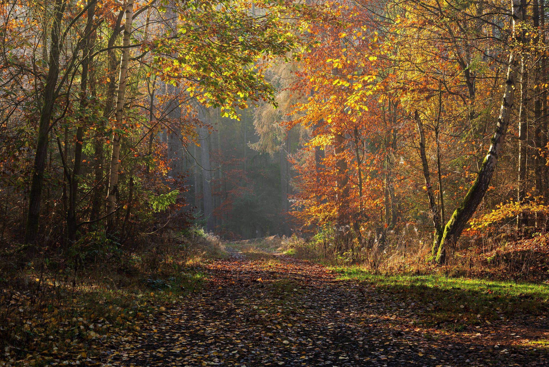 imago images 122026550