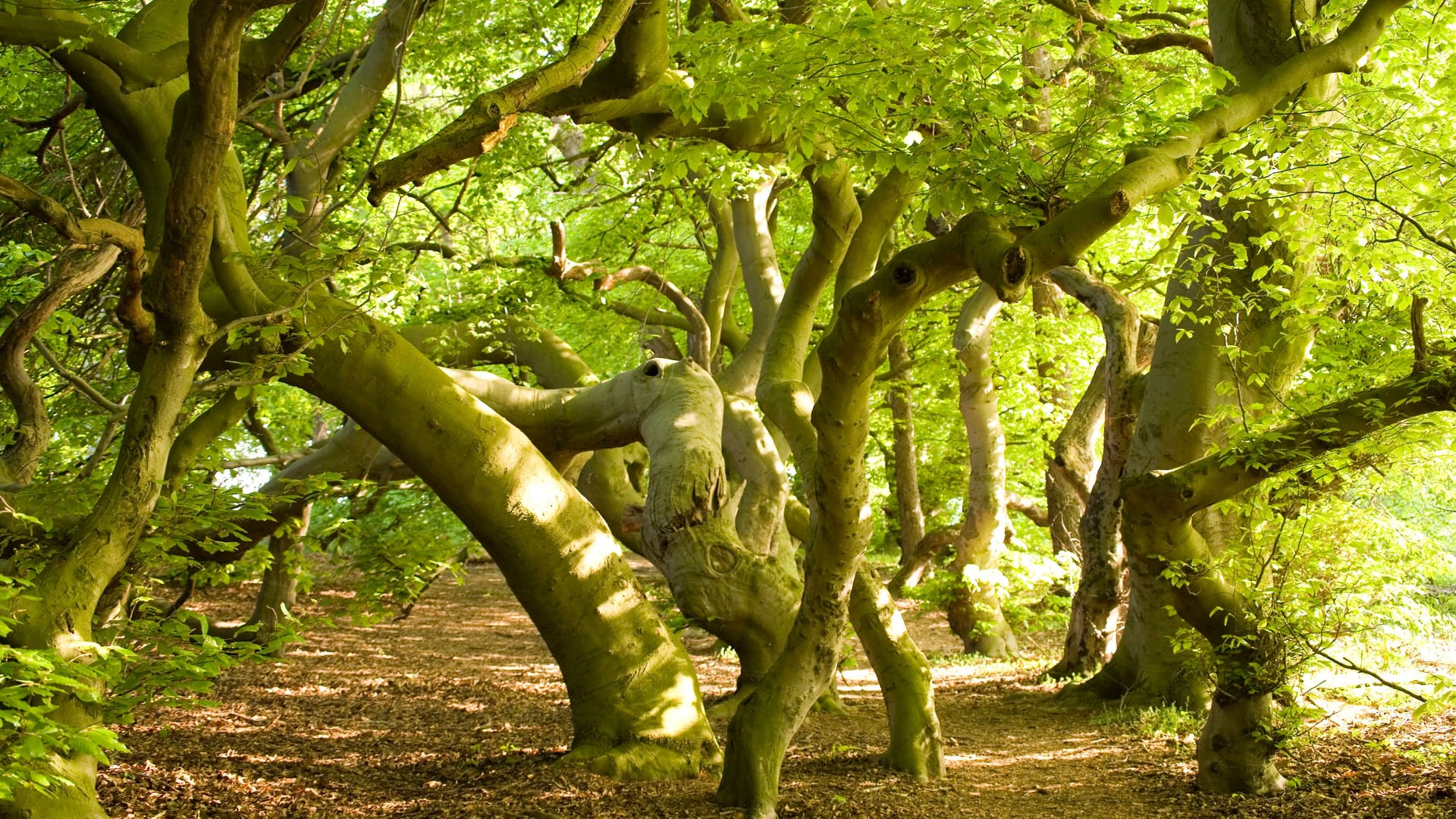 imago images 100769070 imago images 100769070