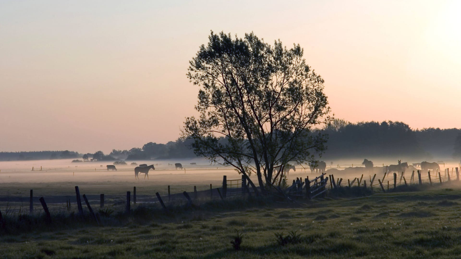 Sonnenaufgang über dem Naturschutzgebiet Breites Wasser bei Worpswede: Rund um Bremen gibt es lohnenswerte Wandergebiete (Archivbild). Sonnenaufgang über dem Naturschutzgebiet Breites Wasser bei Worpswede: Rund um Bremen gibt es lohnenswerte Wandergebiete (Archivbild).