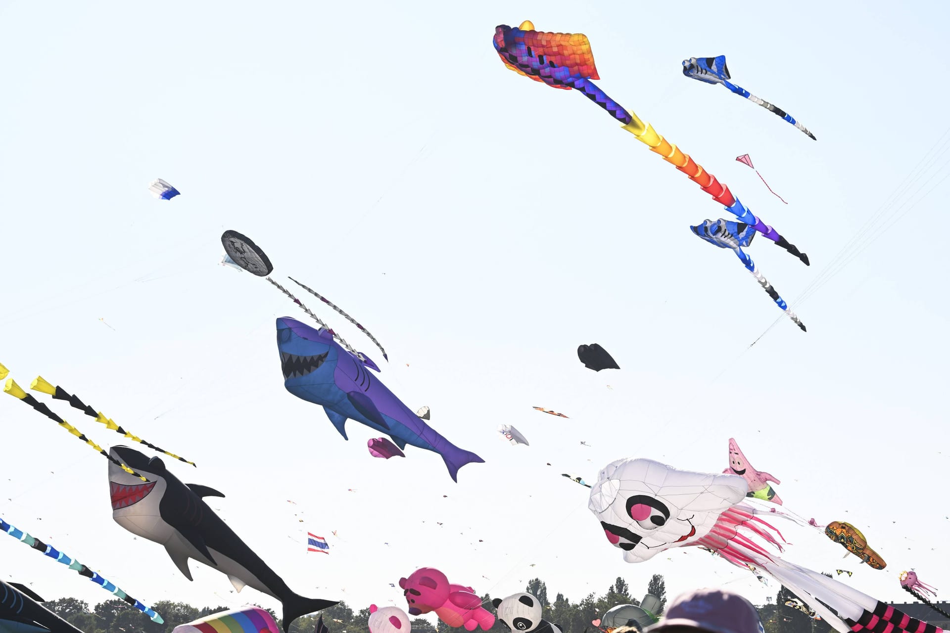 imago images 0829782488 imago images 0829782488