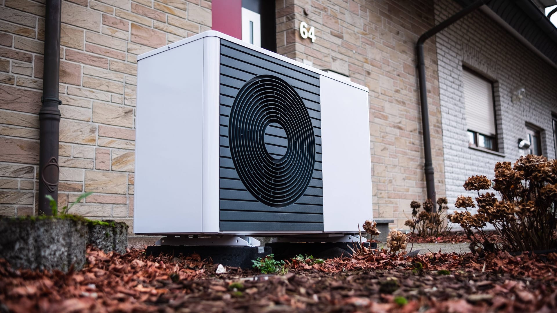 imago images 0197776966 imago images 0197776966