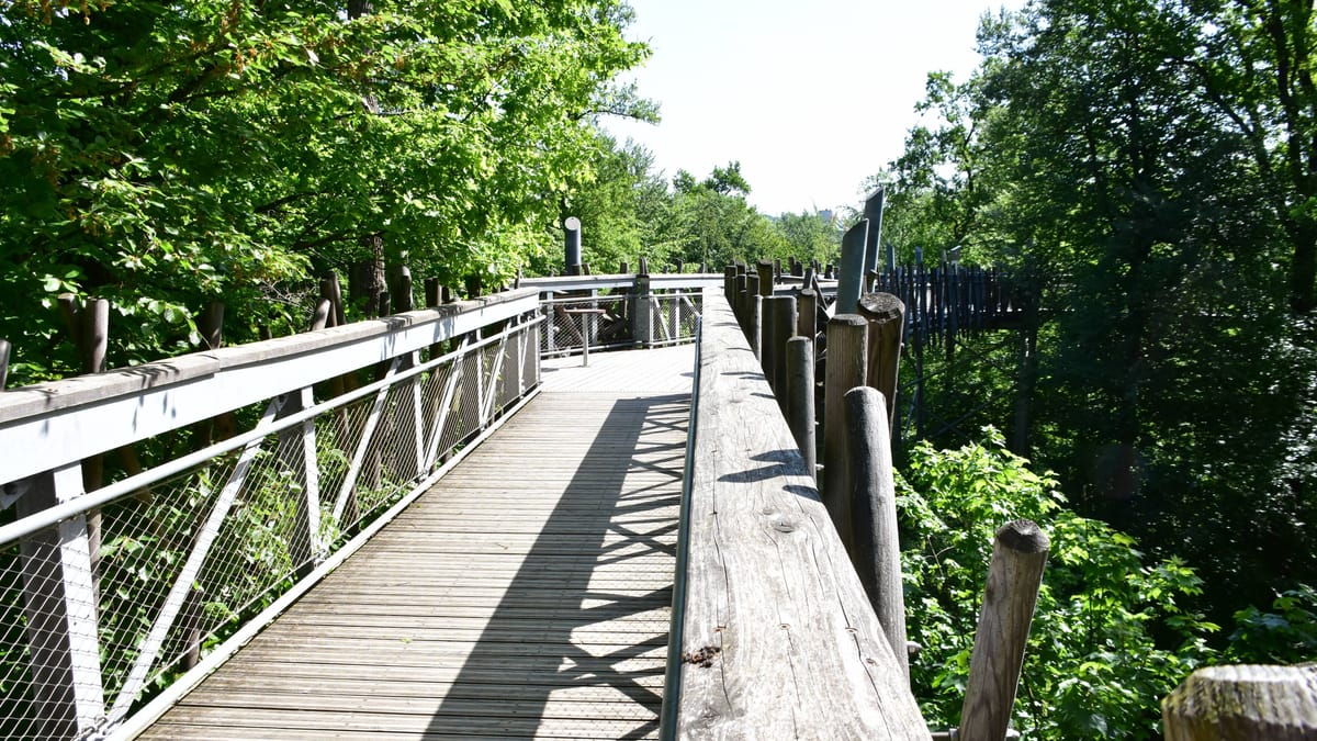 Schwarzbuch Niedersachsen: Vier Fälle möglicher Steuerverschwendung
