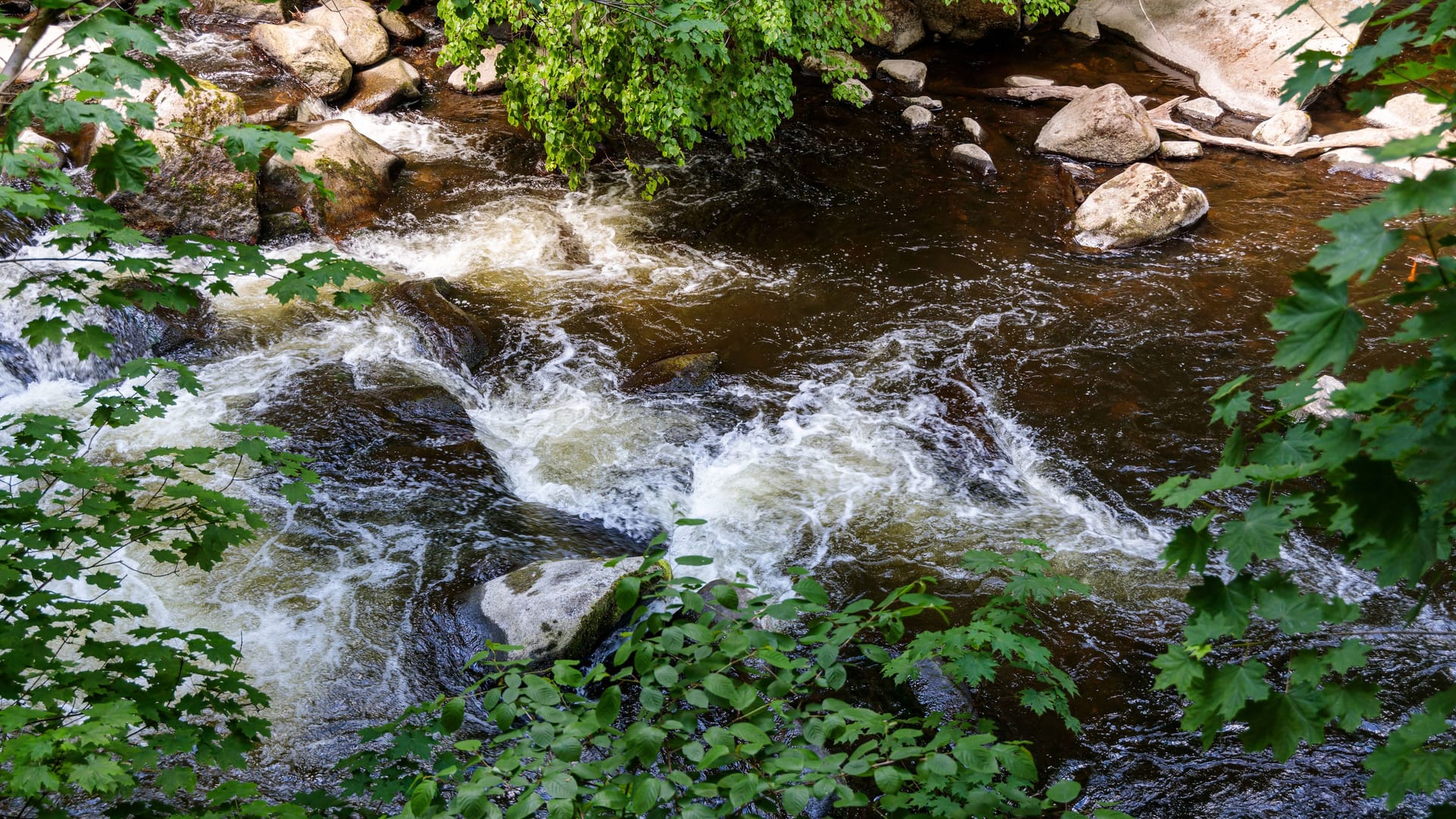 imago images 0556366310 imago images 0556366310