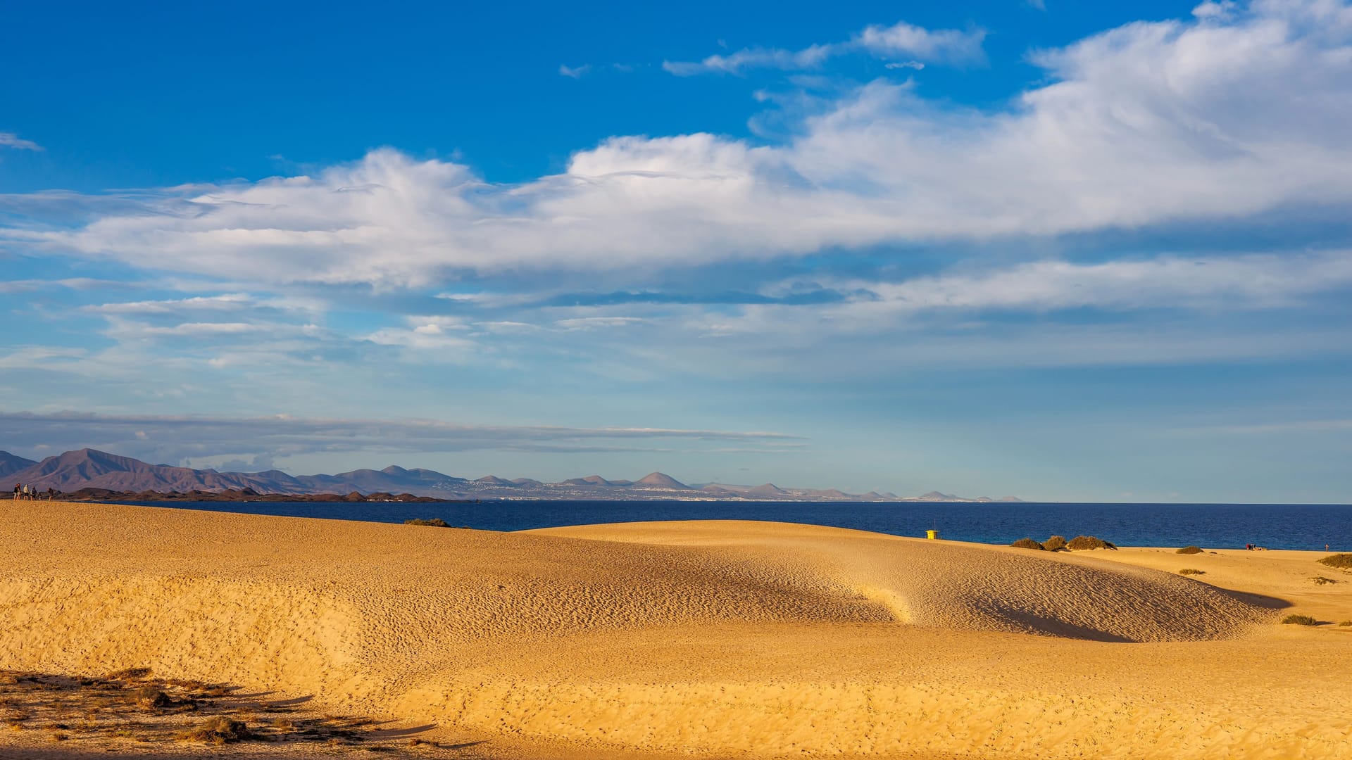Wüstenlandschaft auf Fuerteventura: Sanddünen des Parque Natural de Corralejo treffen auf den Atlantischen Ozean.