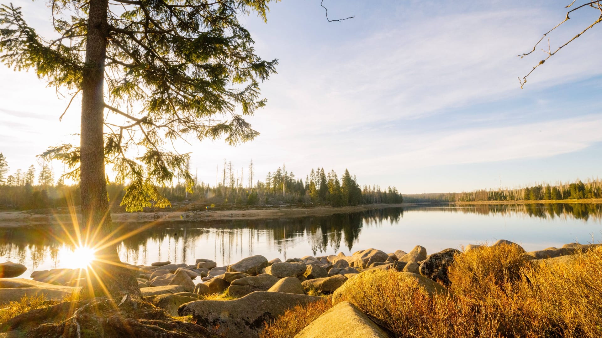 imago images 99426690 imago images 99426690