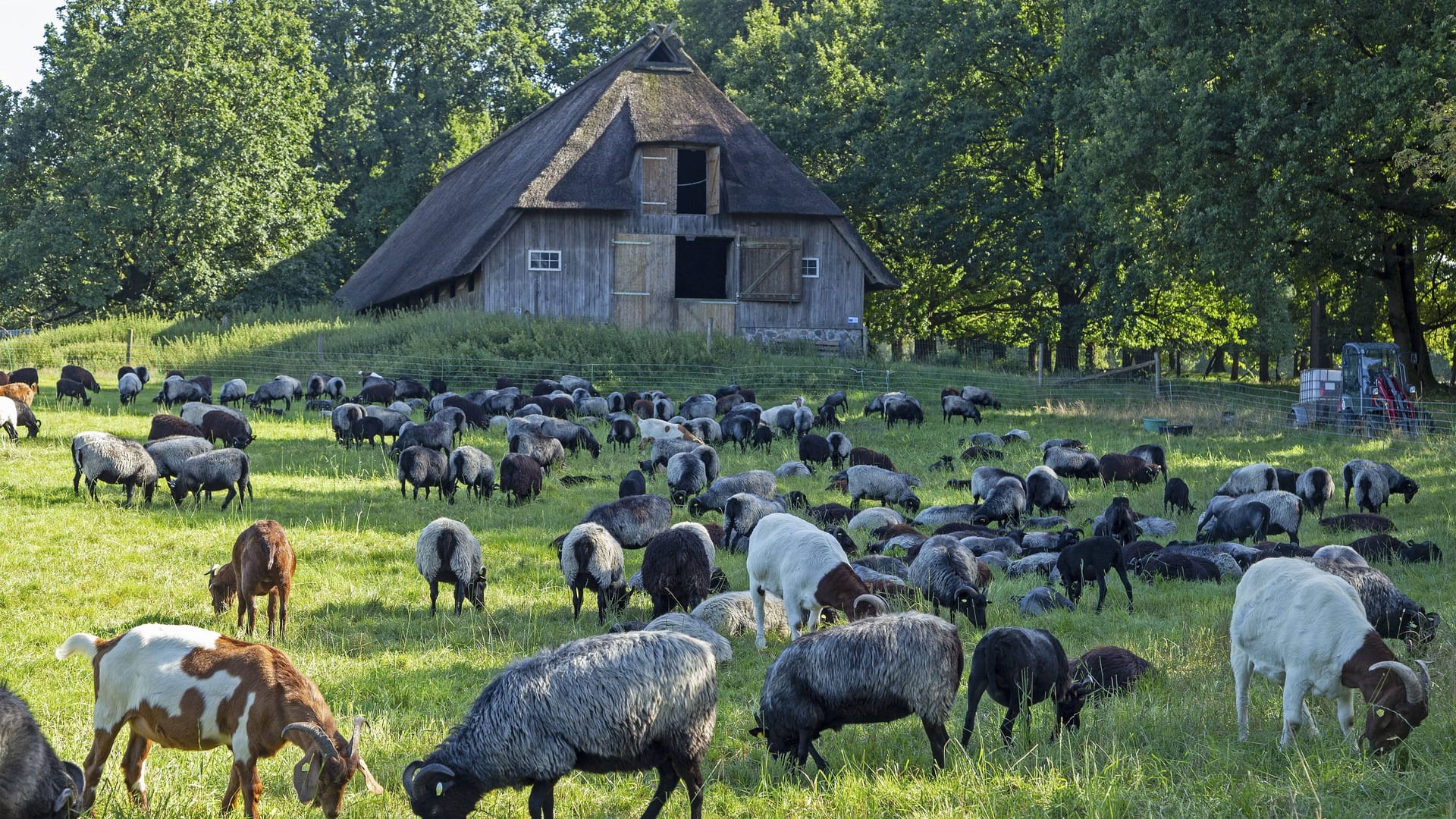 imago images 0832479794 imago images 0832479794