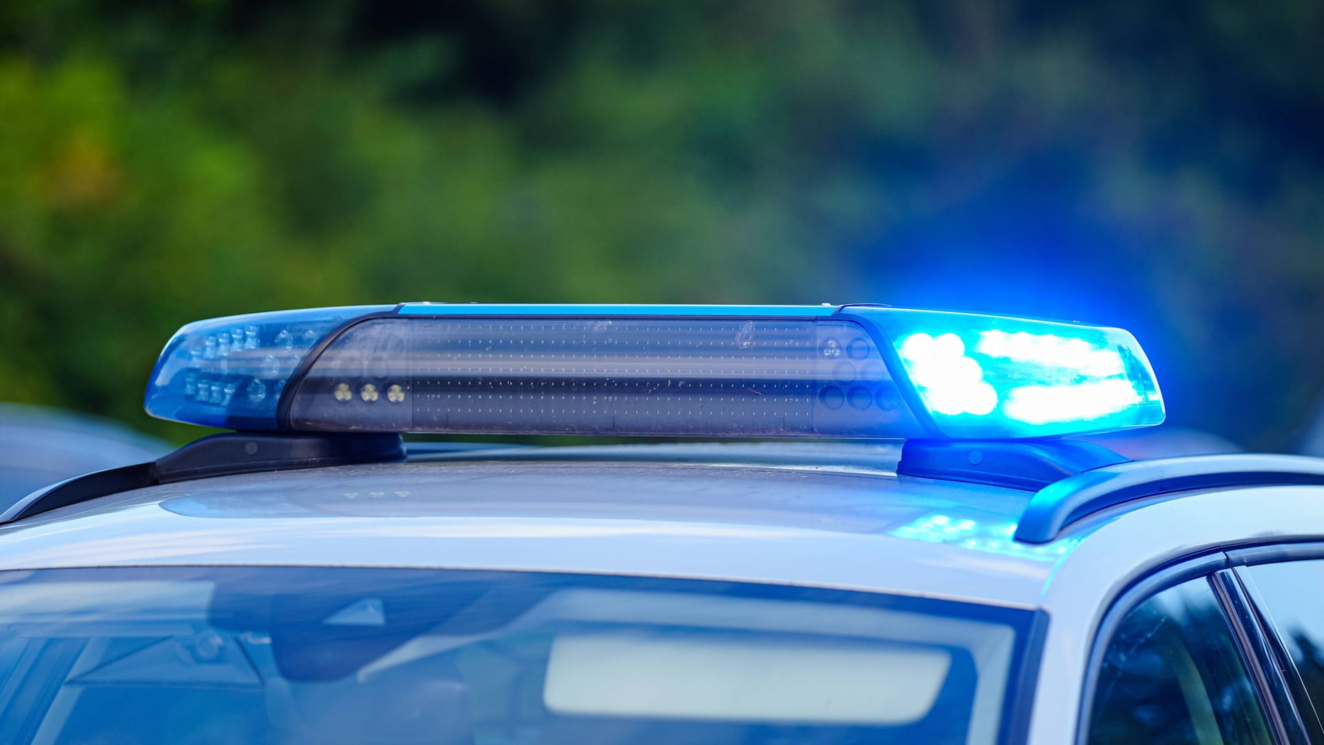 imago images 0831543980