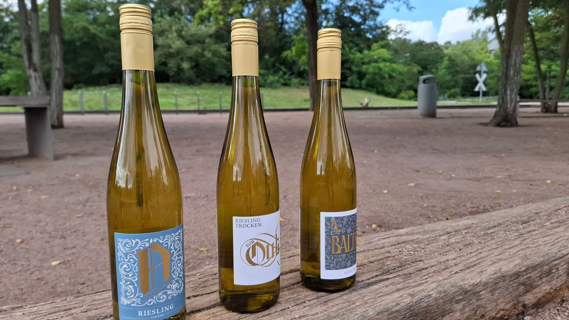 Die drei getesteten Rieslinge: Sie zeigen die Vielfalt deutscher Weinkunst aus der Pfalz.