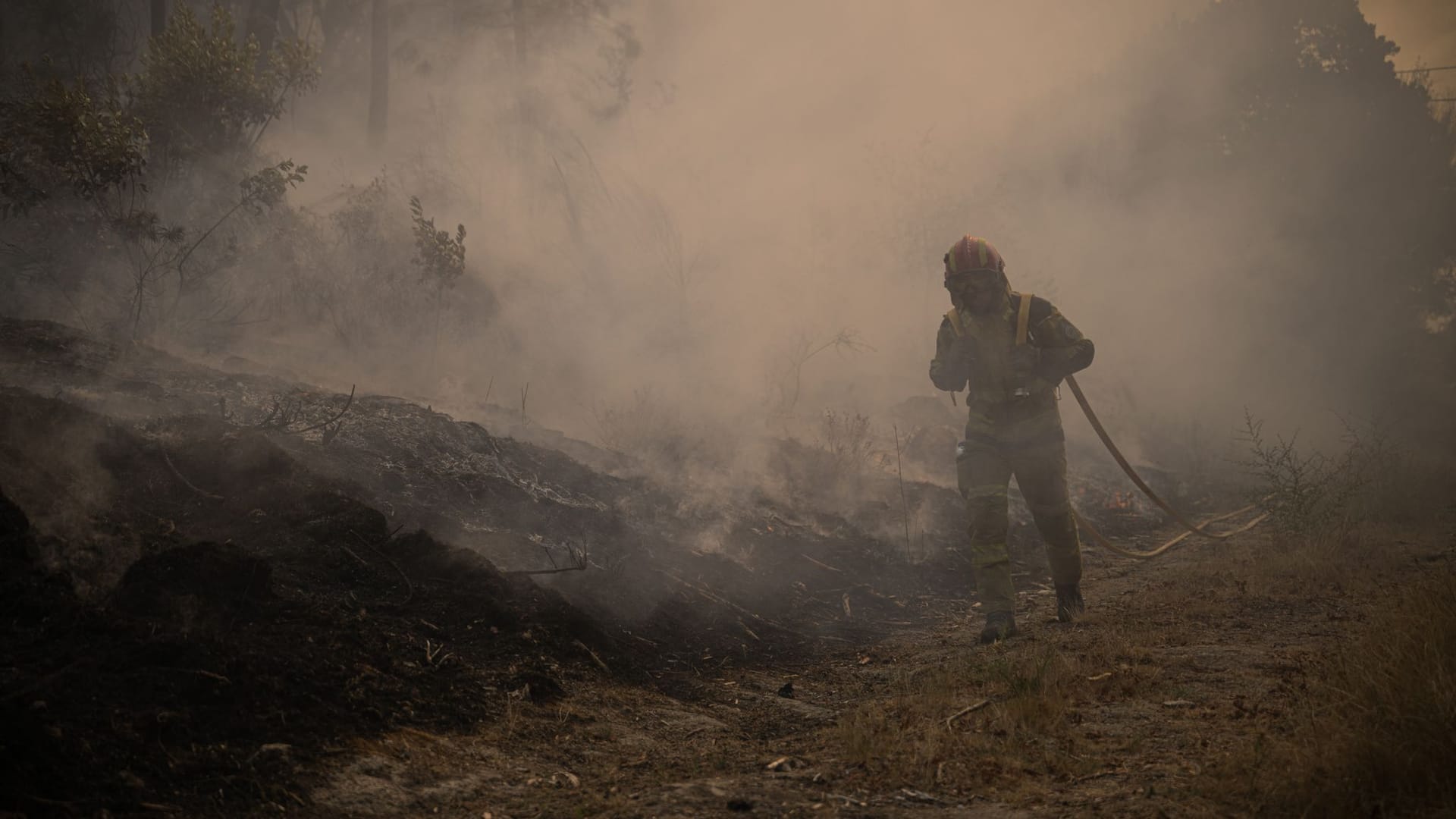 Waldbrände in Portugal