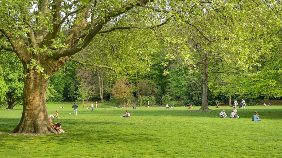 Berlin: Frauenleiche auf Spielplatz gefunden – Mann festgenommen