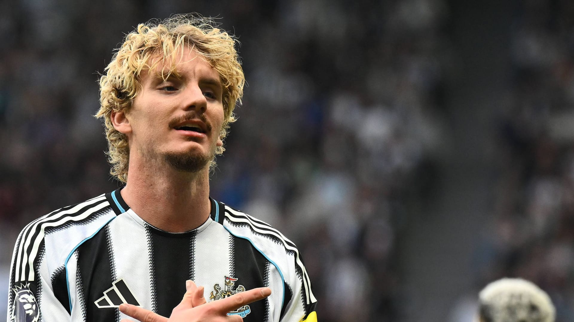 Nick Woltemade: Er hat für Newcastle bisher zwei Tore erzielt. Nick Woltemade: Er hat für Newcastle bisher zwei Tore erzielt.