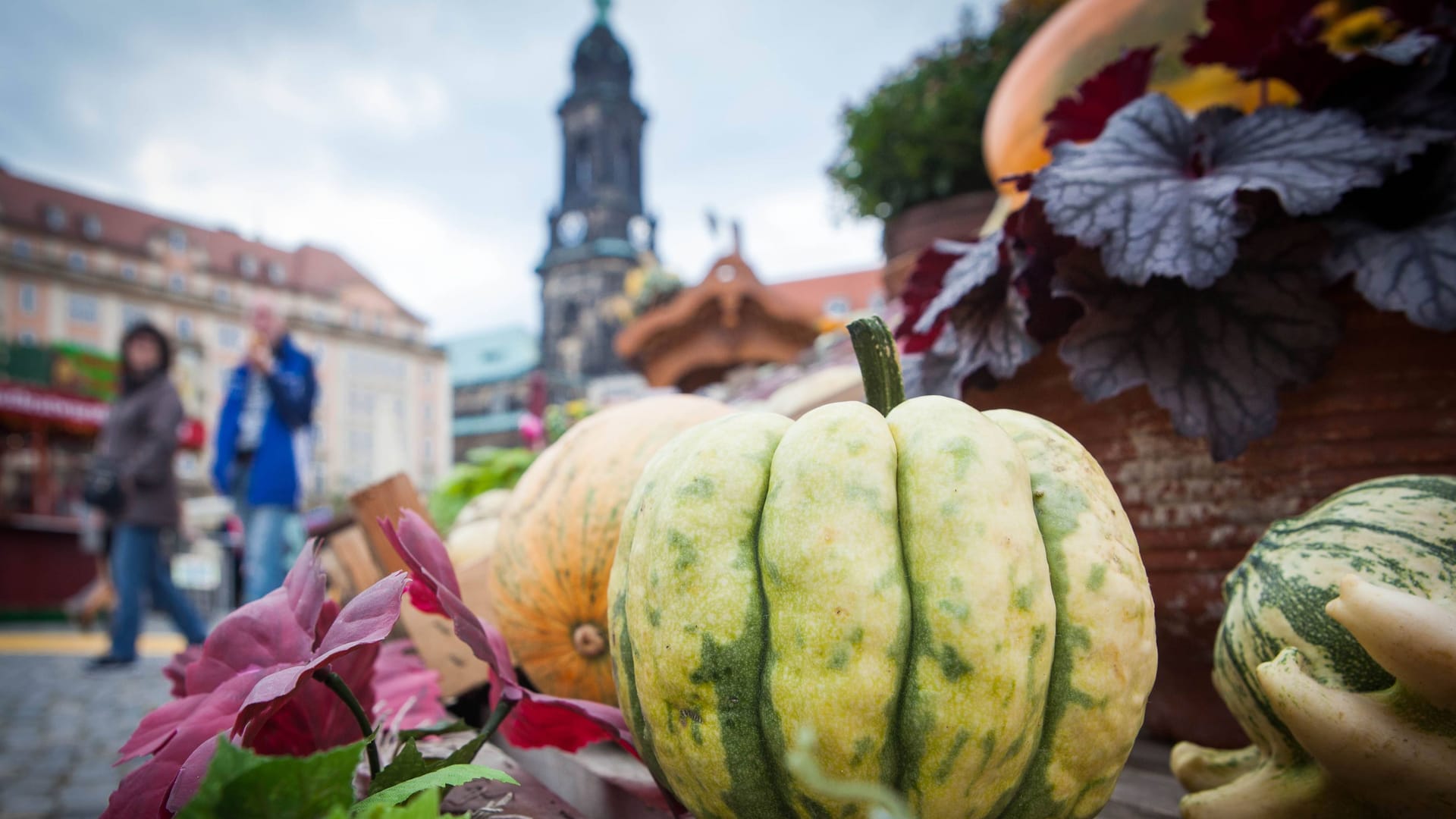 Blick auf den Dresdner Herbstmarkt (Archivbild): Blick auf den Dresdner Herbstmarkt (Archivbild):