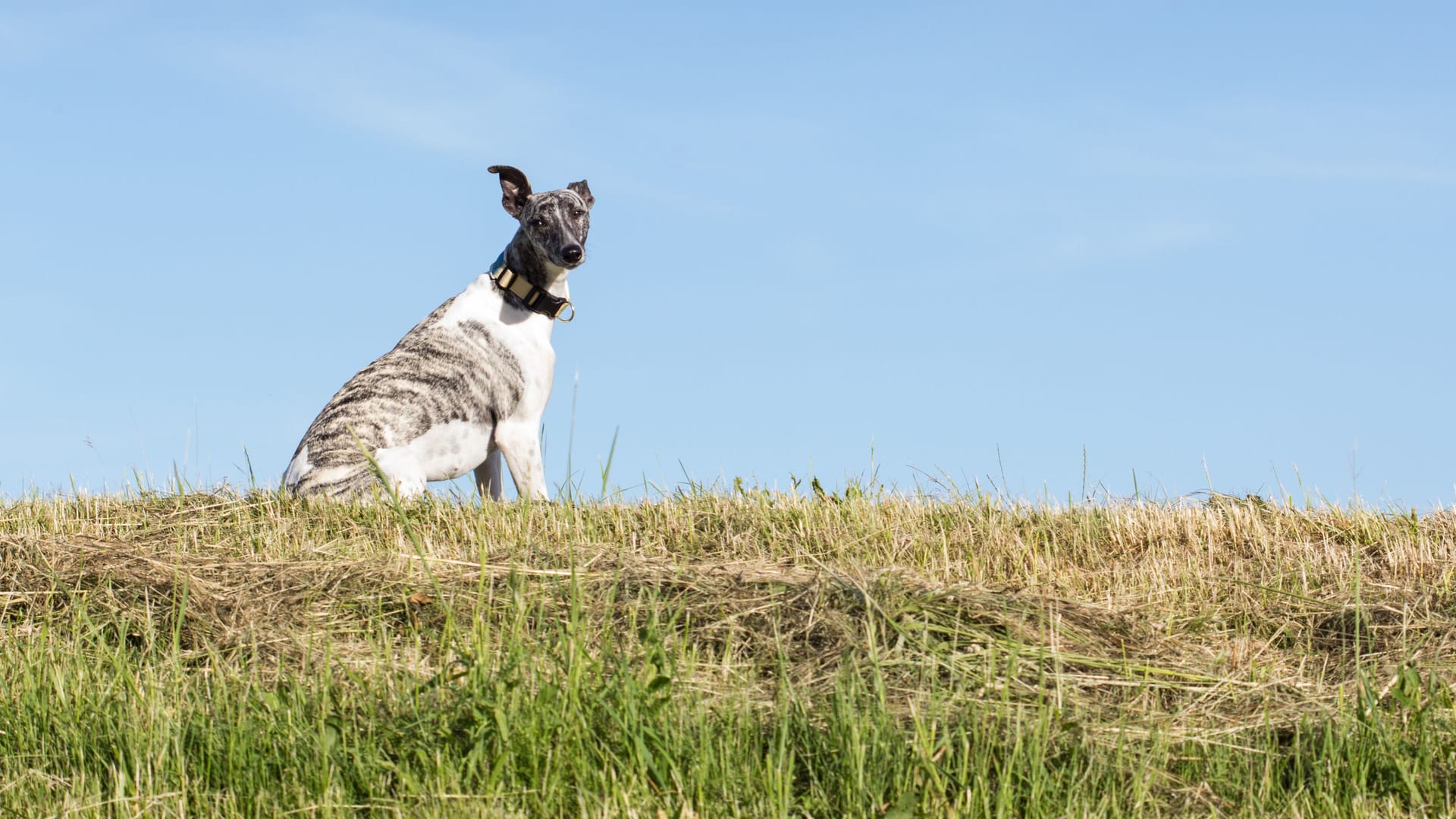 imago135264905 imago135264905