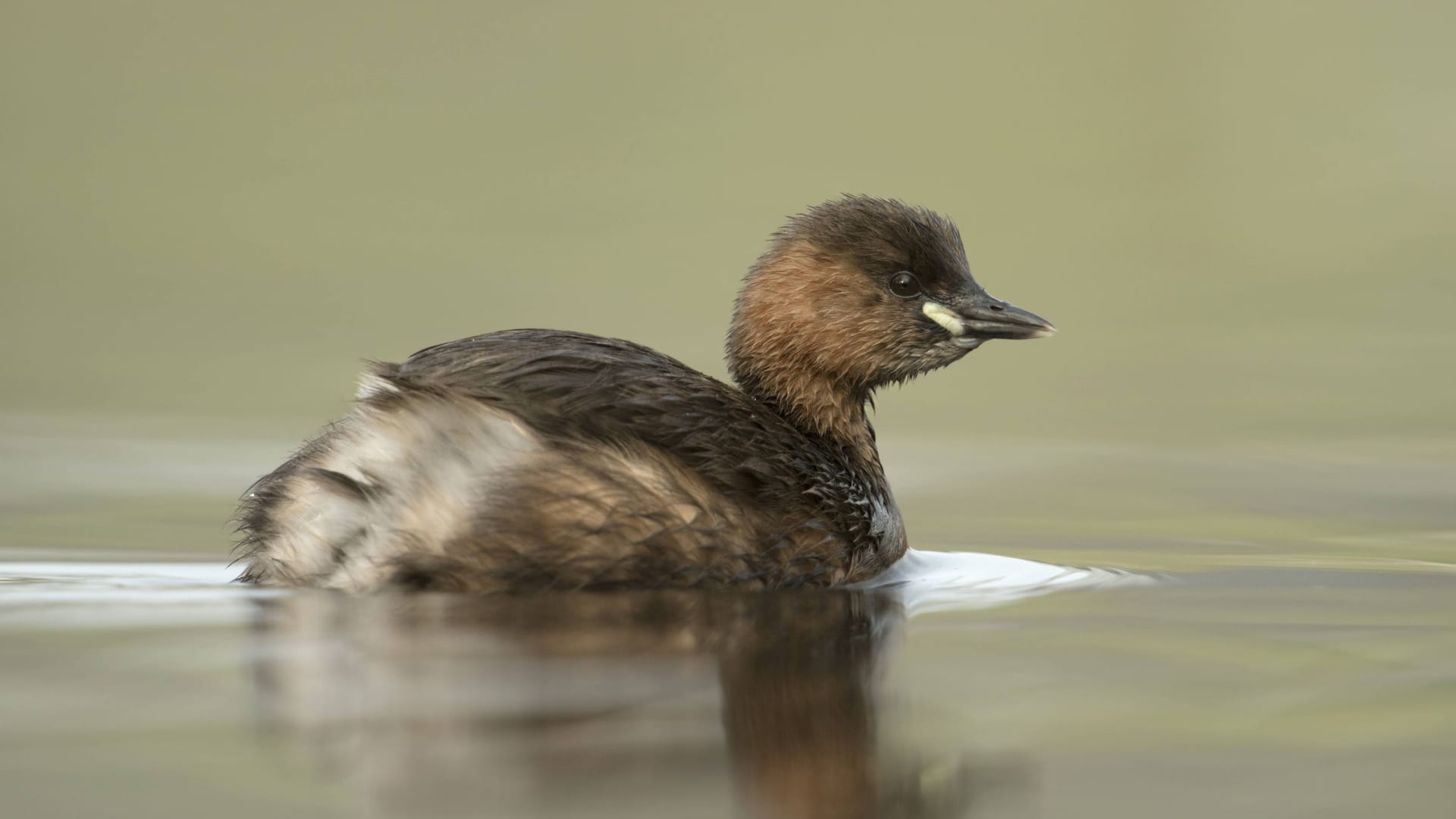 imago images 0818594712 imago images 0818594712