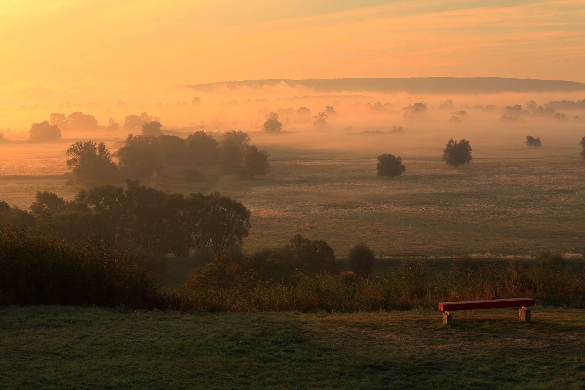 imago images 0259078323