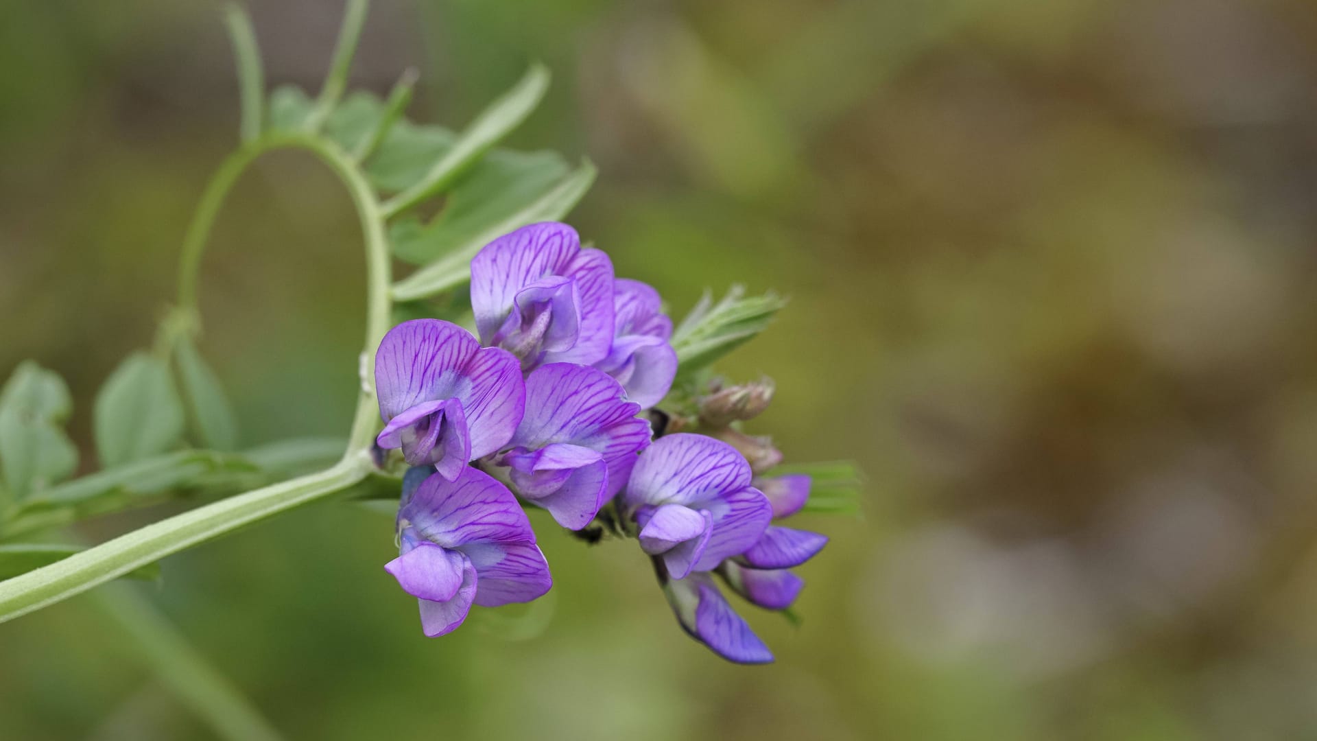 imago images 0789219024 imago images 0789219024