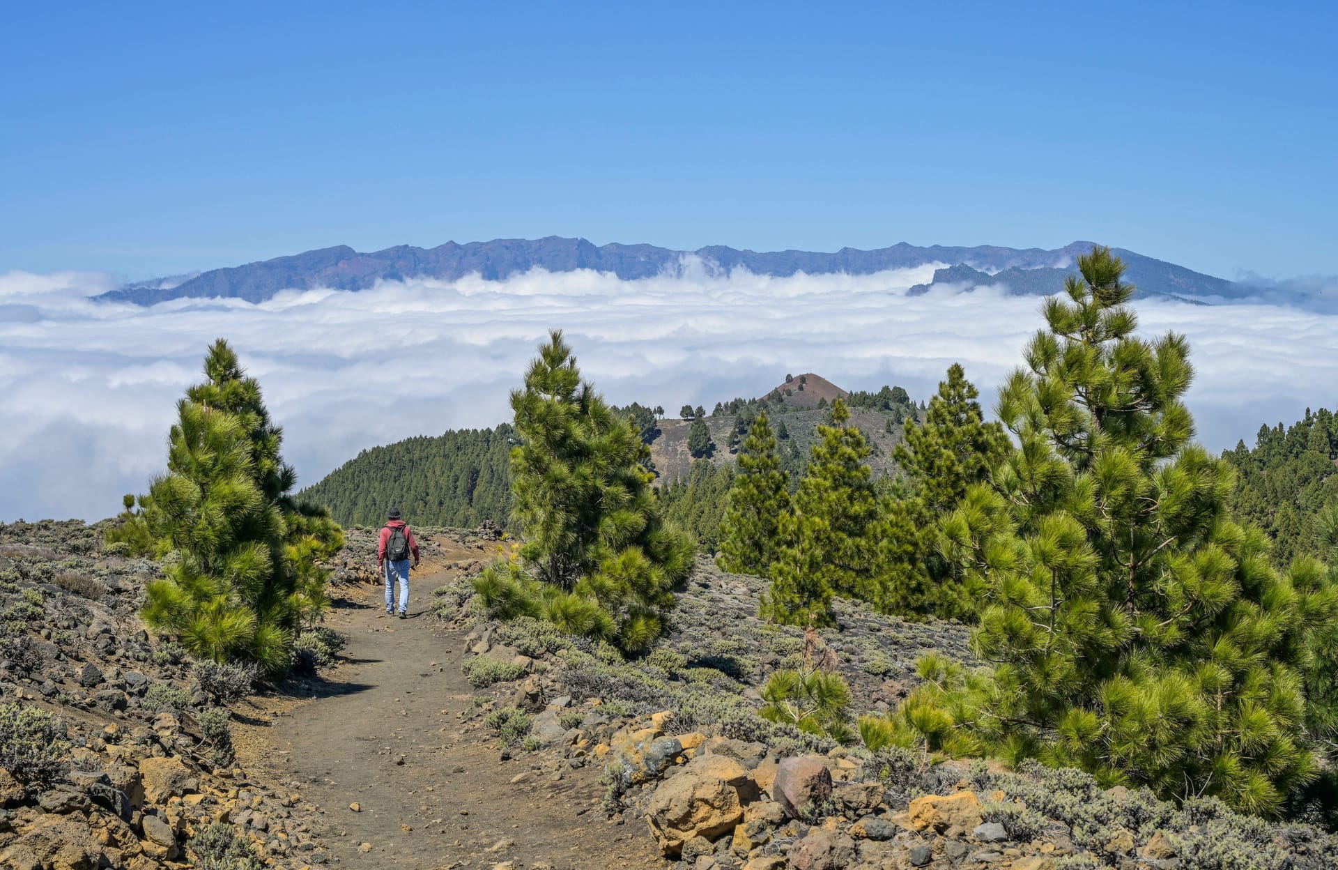Über den Wolken: Ein Wanderer begeht die Vulkanroute auf dem Bergrücken Cumbre Vieja.