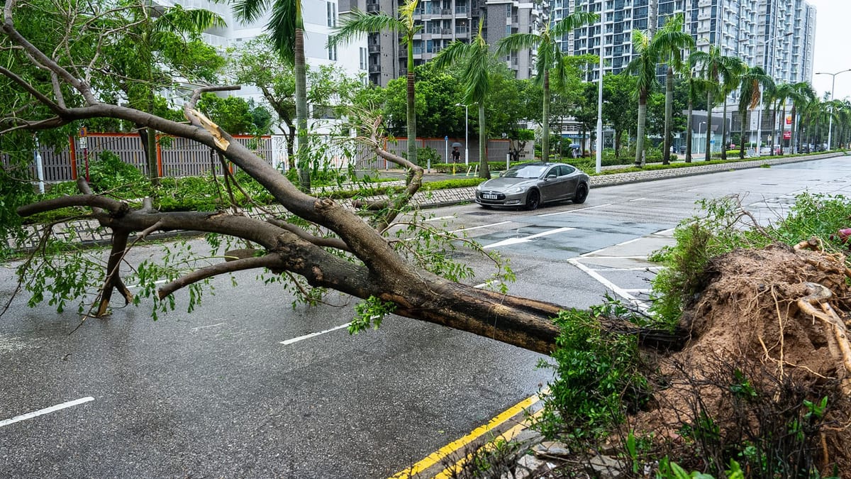 Super-Taifun "Ragasa": Taiwan und Philippinen melden Tote