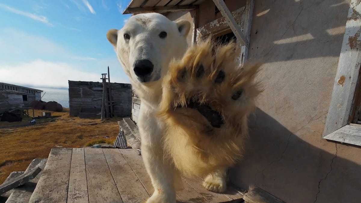 Eisbear Capers Polar İstasyonu – Drone ile Blogger Filmleri