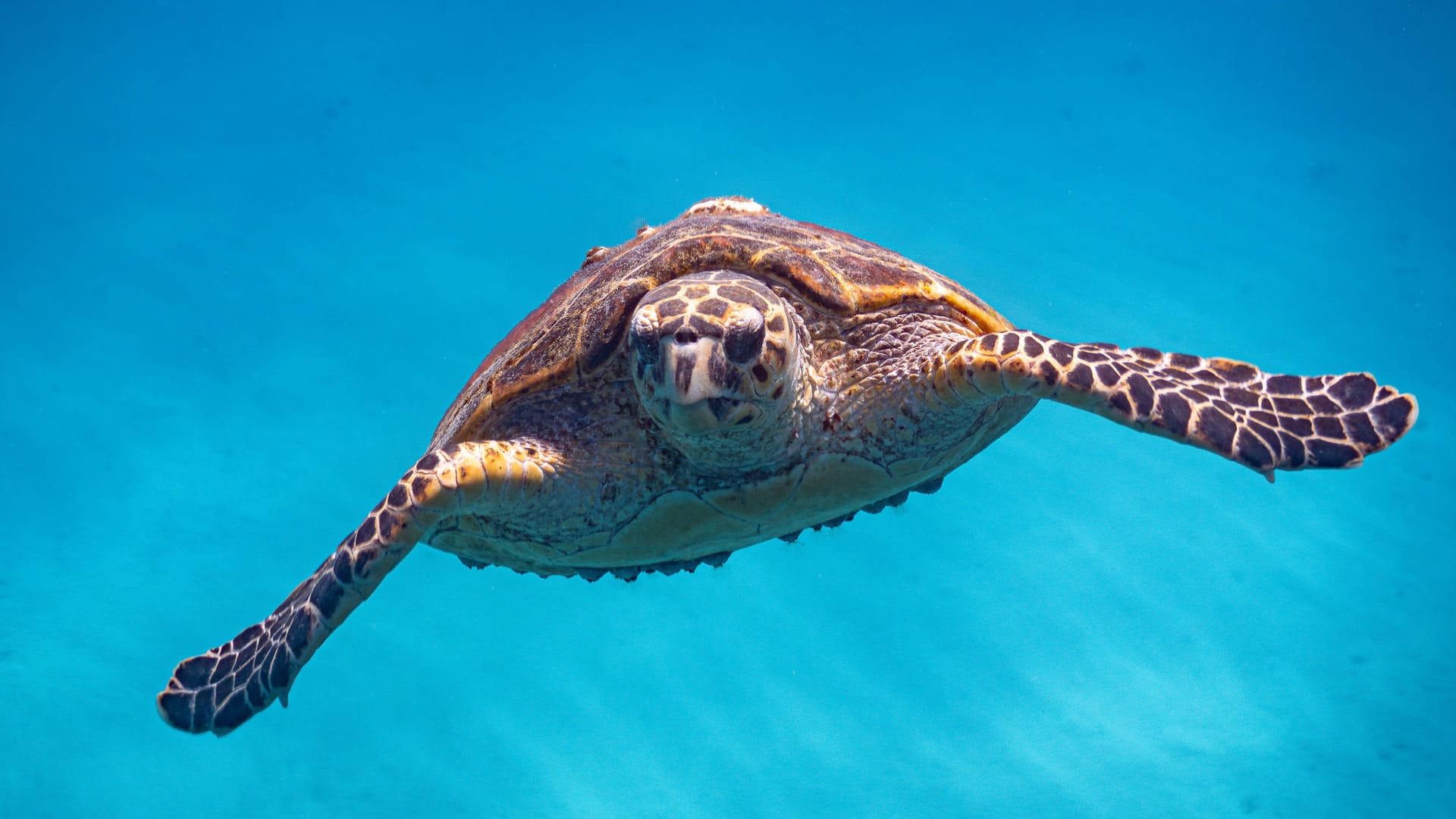 imago images 0823557432 imago images 0823557432