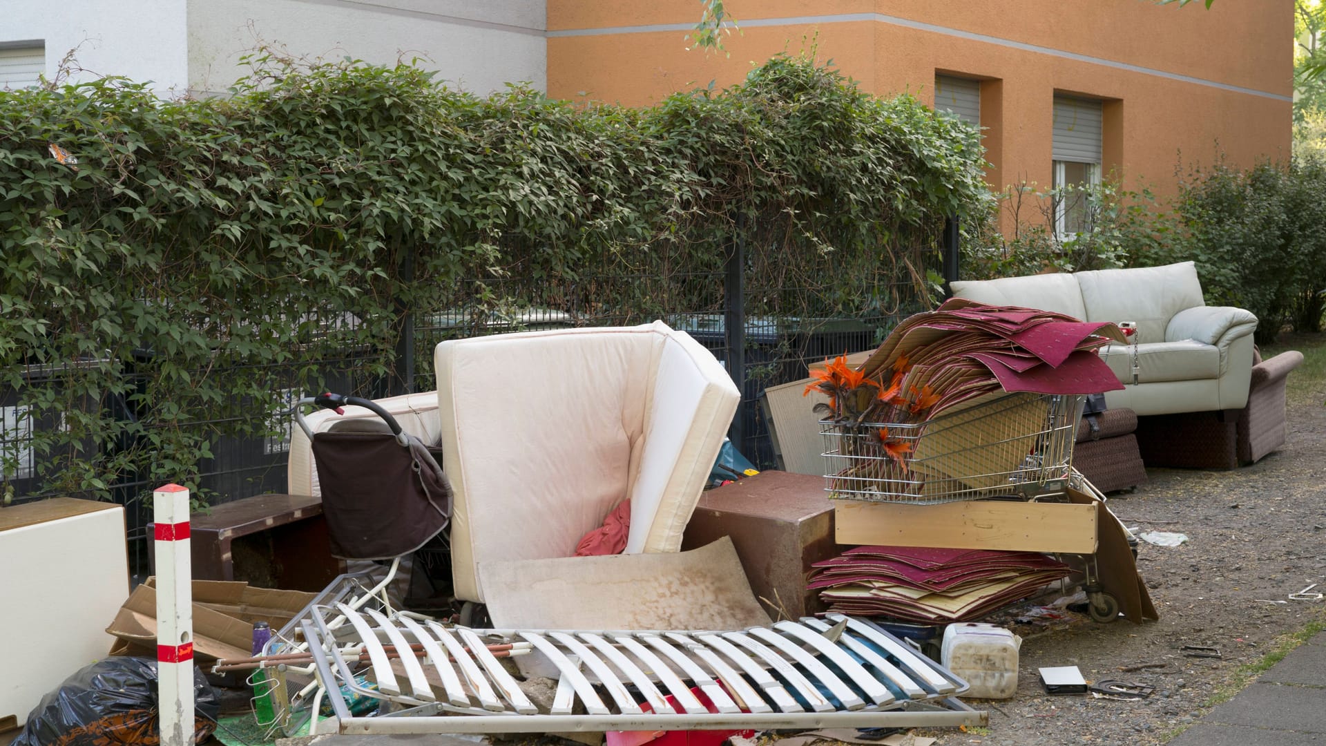 imago images 134788895 imago images 134788895