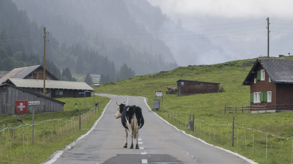 Auswandern: Schweiz und Österreich bleiben Topziele für Deutsche in Europa
