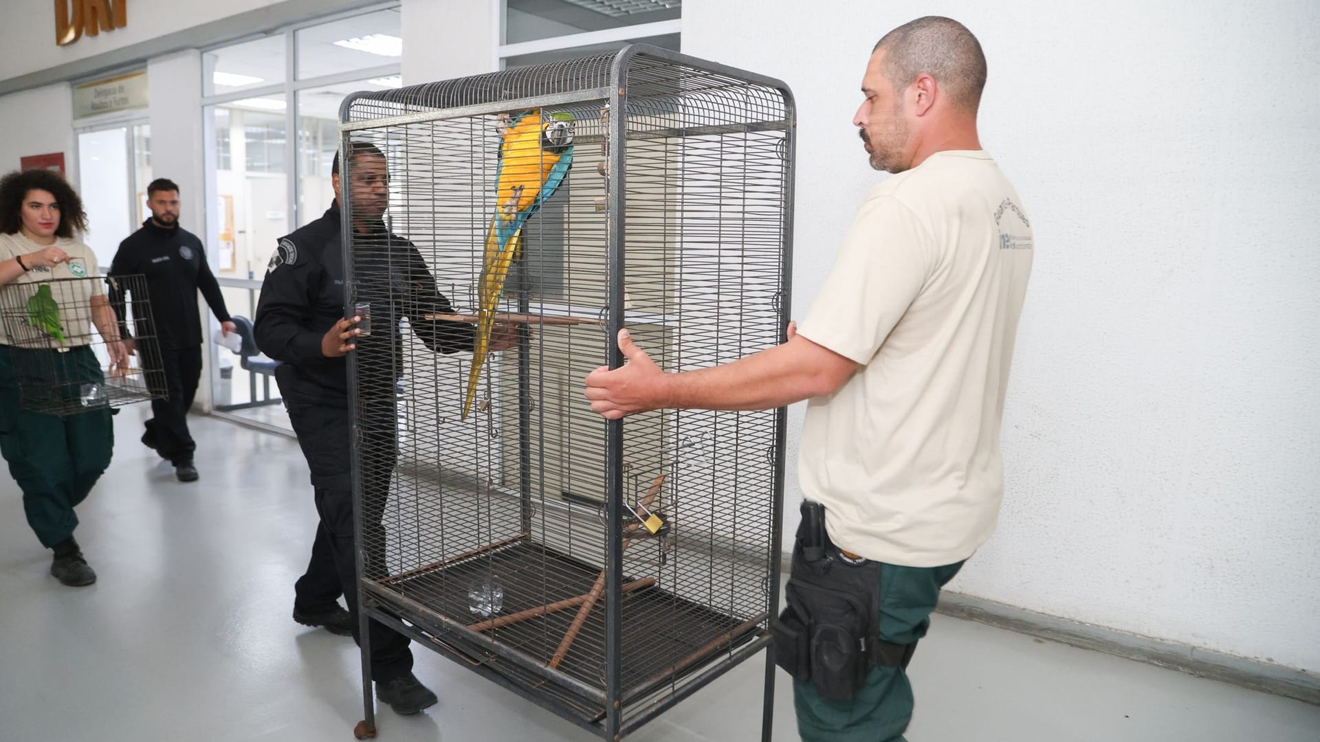 Großer Schlag gegen den illegalen Tierhandel in Brasilien Großer Schlag gegen den illegalen Tierhandel in Brasilien