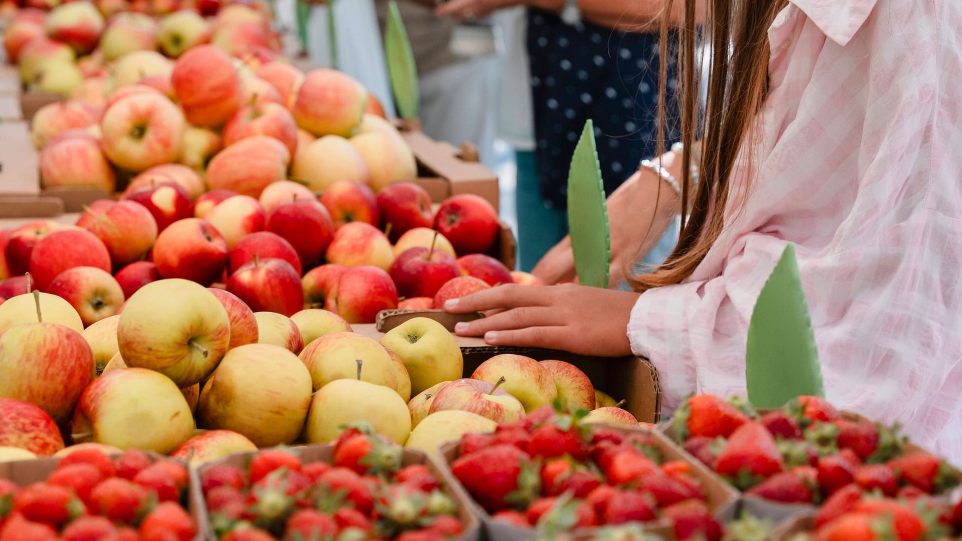 imago images 0835001123 imago images 0835001123