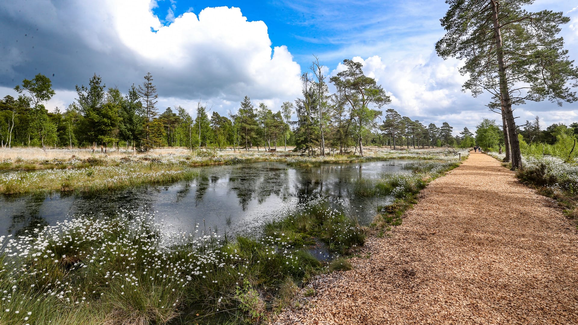 imago202281725 imago202281725