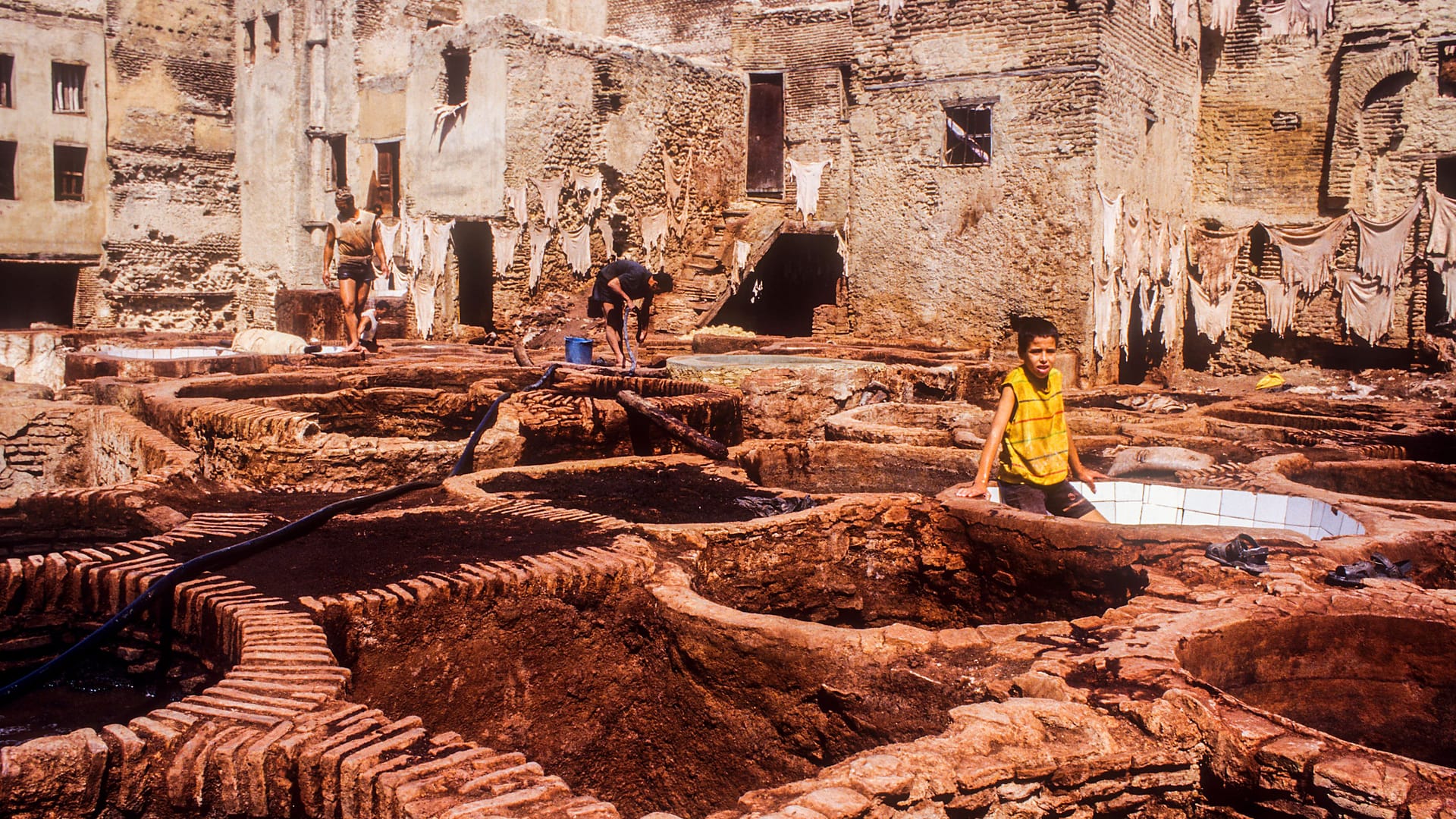 Gerberei: In der Medina von Féz zeugen gemauerte Bottiche vom uralten Handwerk des Ledergerbens.