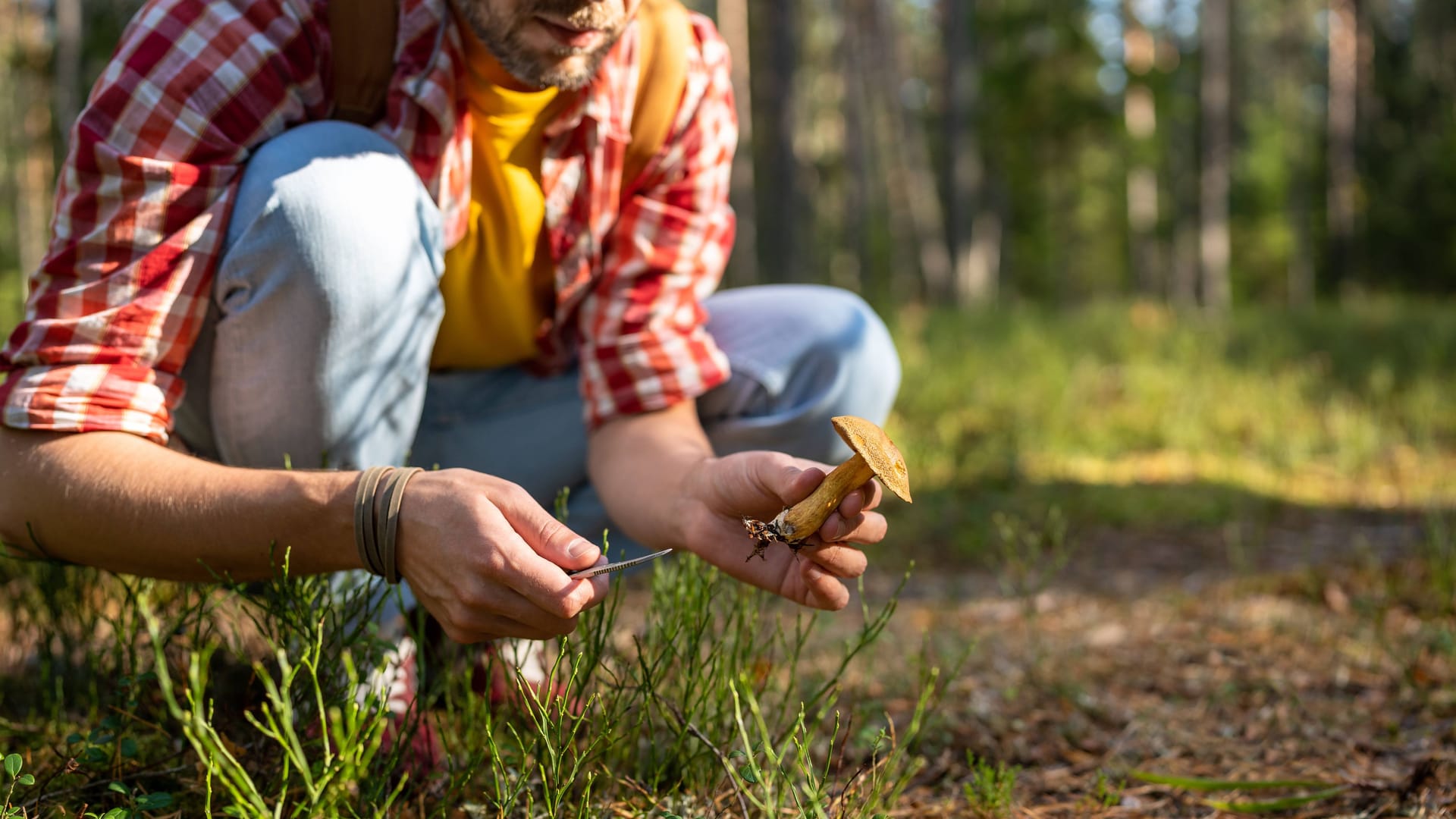 imago images 0799314247