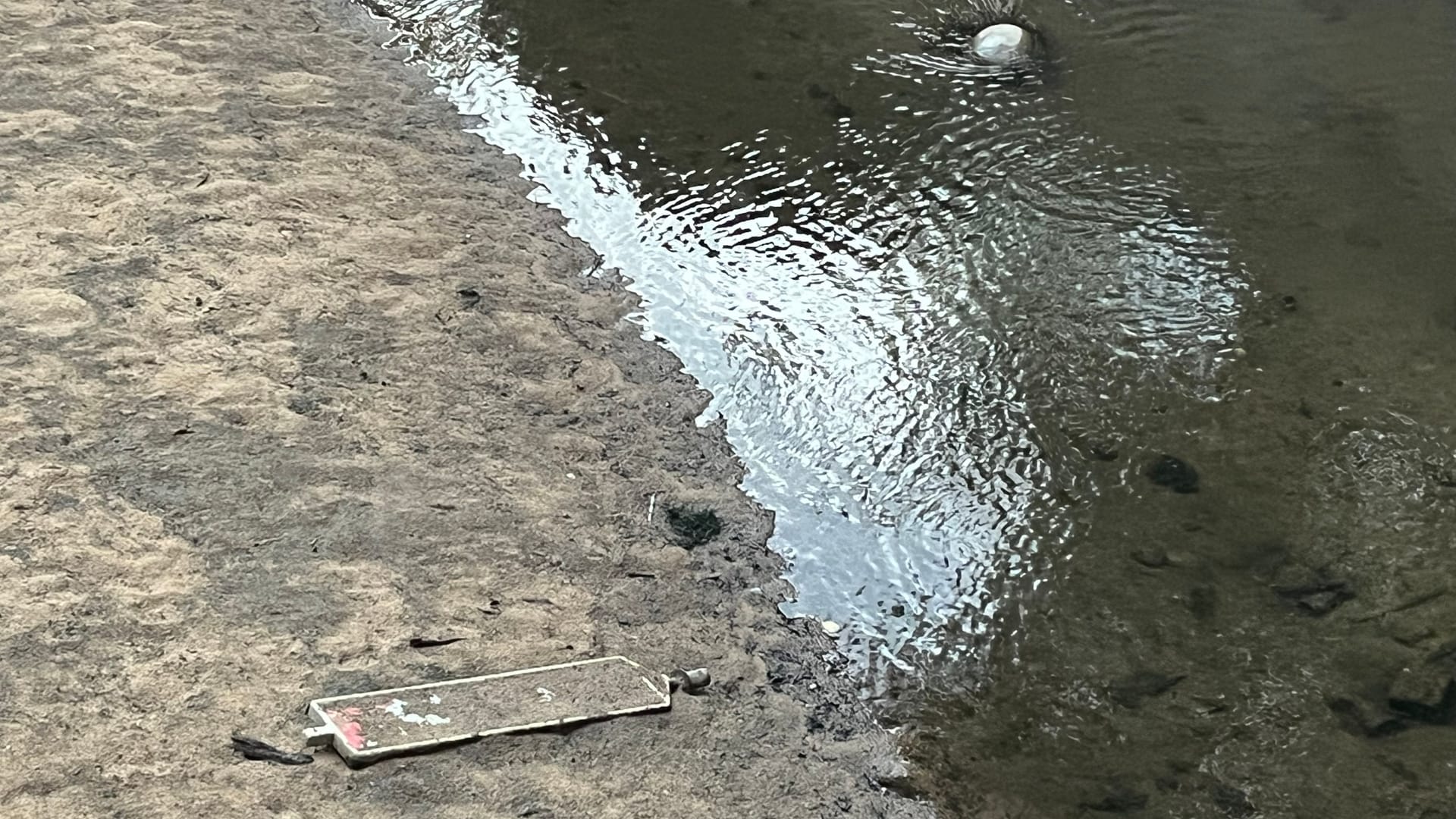 Müll im Flussbett der Pegnitz: Auch Unrat – wie die Baustellenbake hier – kommt gerade zum Vorschein. Müll im Flussbett der Pegnitz: Auch Unrat – wie die Baustellenbake hier – kommt gerade zum Vorschein.