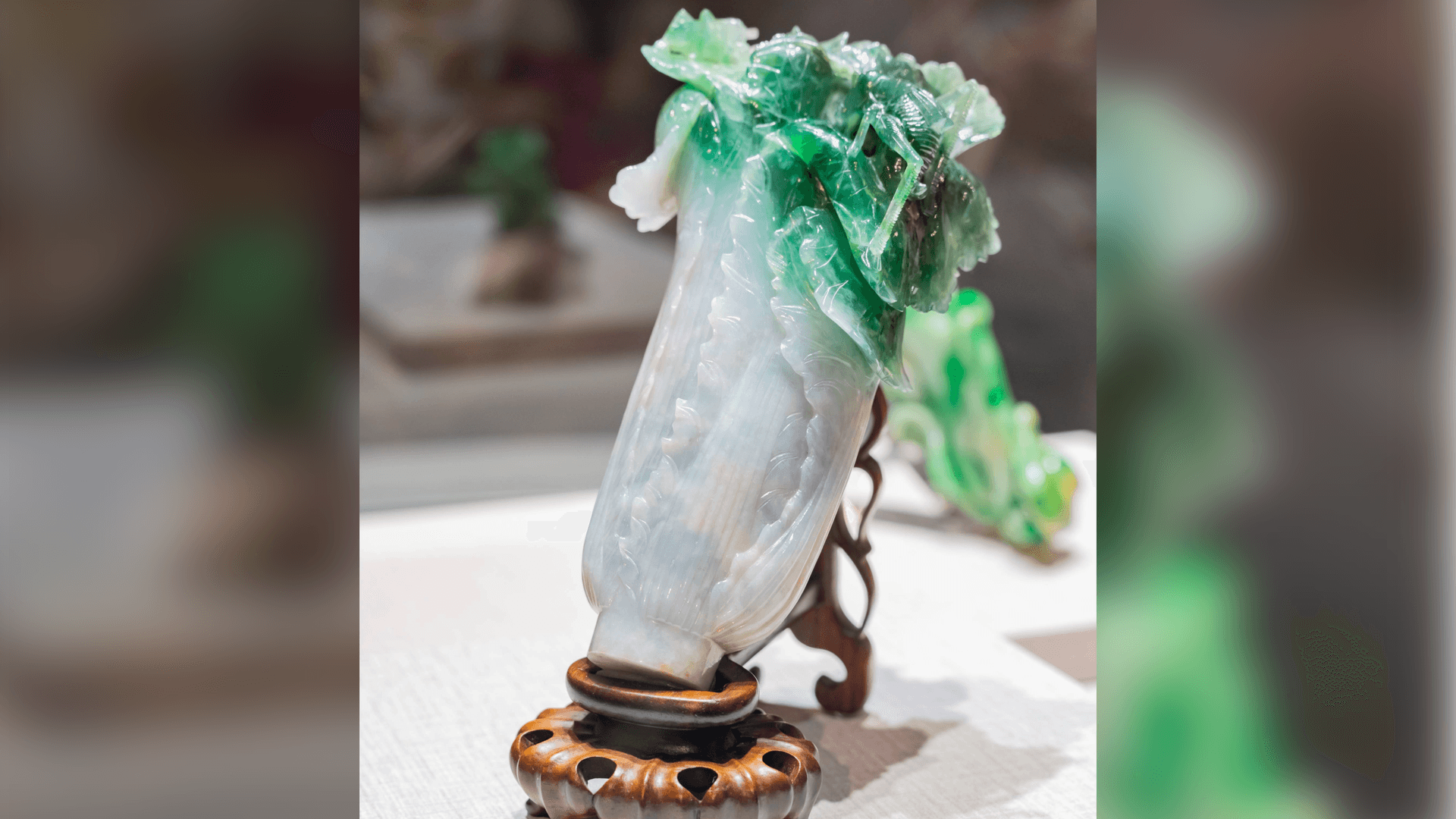 Jadekohl bei einer Ausstellung in Taiwan im Jahr 2018. Jadekohl bei einer Ausstellung in Taiwan im Jahr 2018.