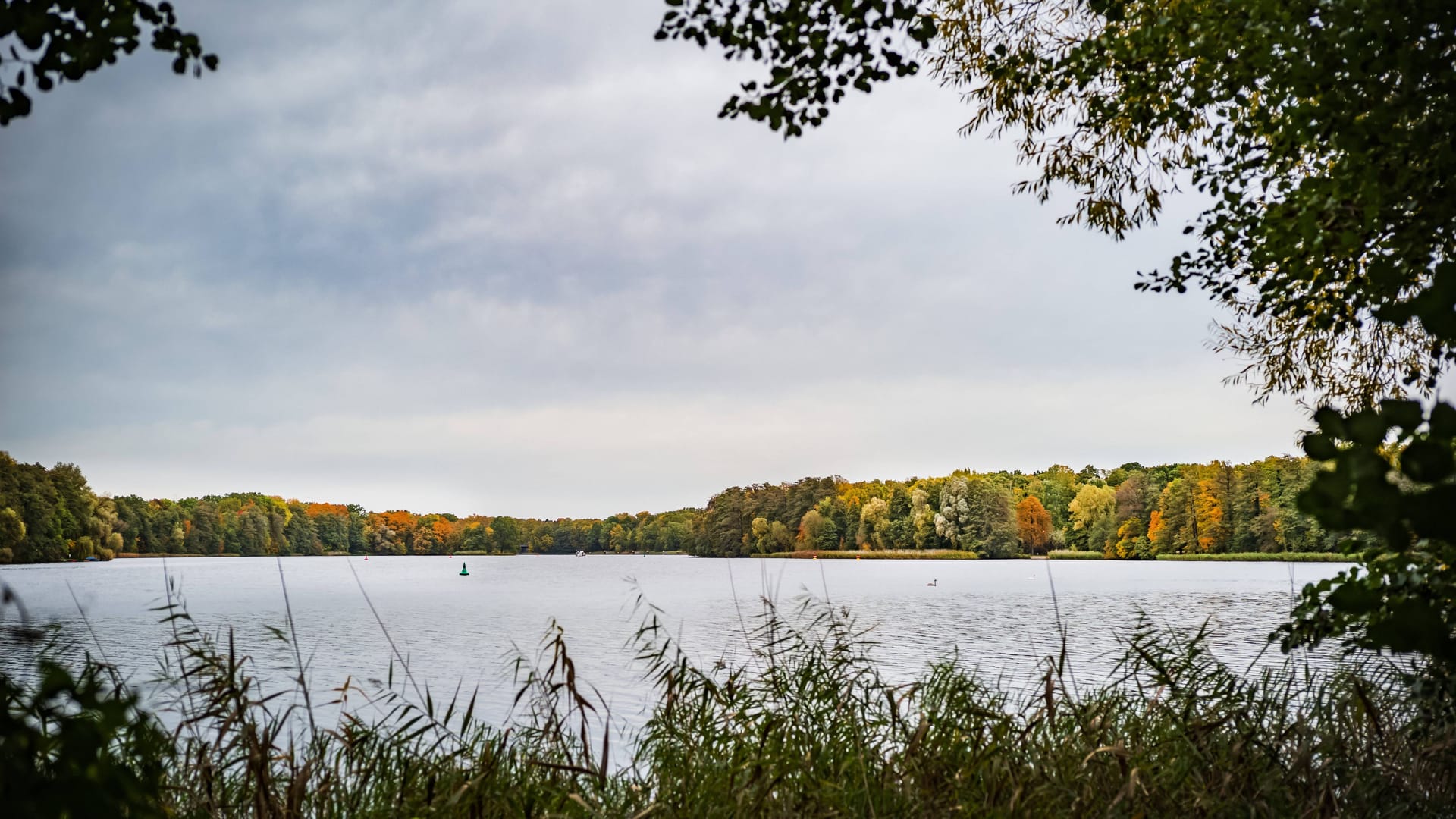 imago images 0311335490