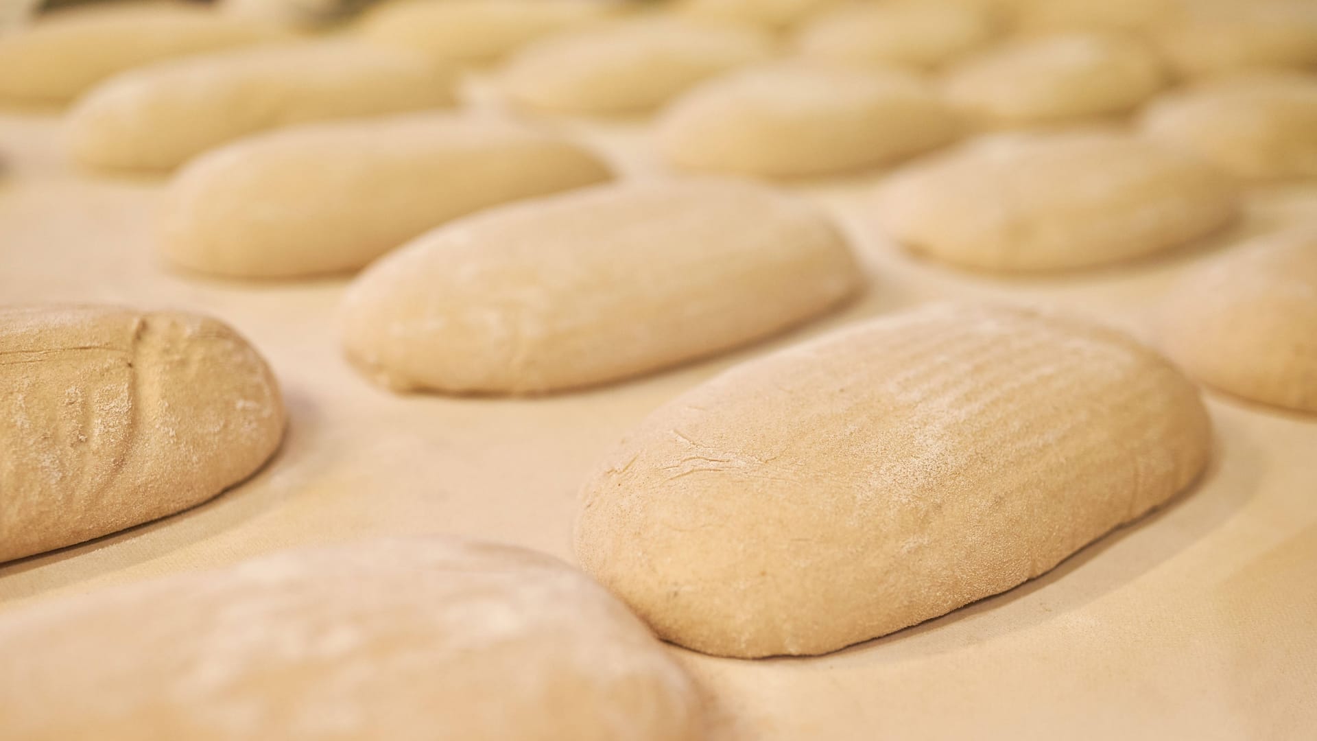 imago images 0786732936 imago images 0786732936