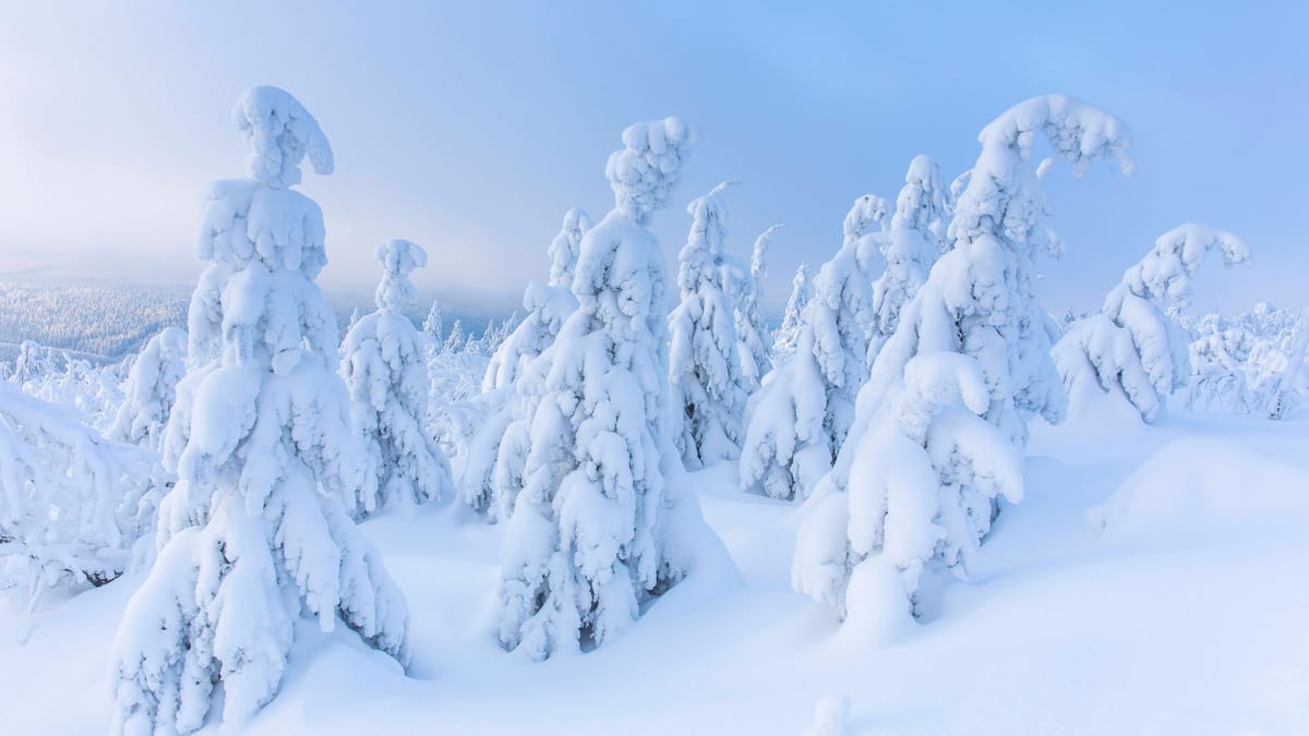 Wetter-Prognosen: Droht Deutschland ein Jahrhundert-Winter?