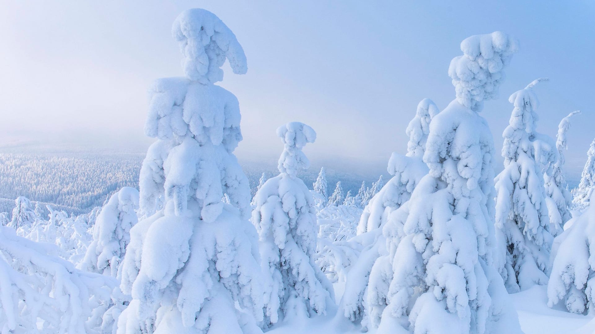 imago images 112839282