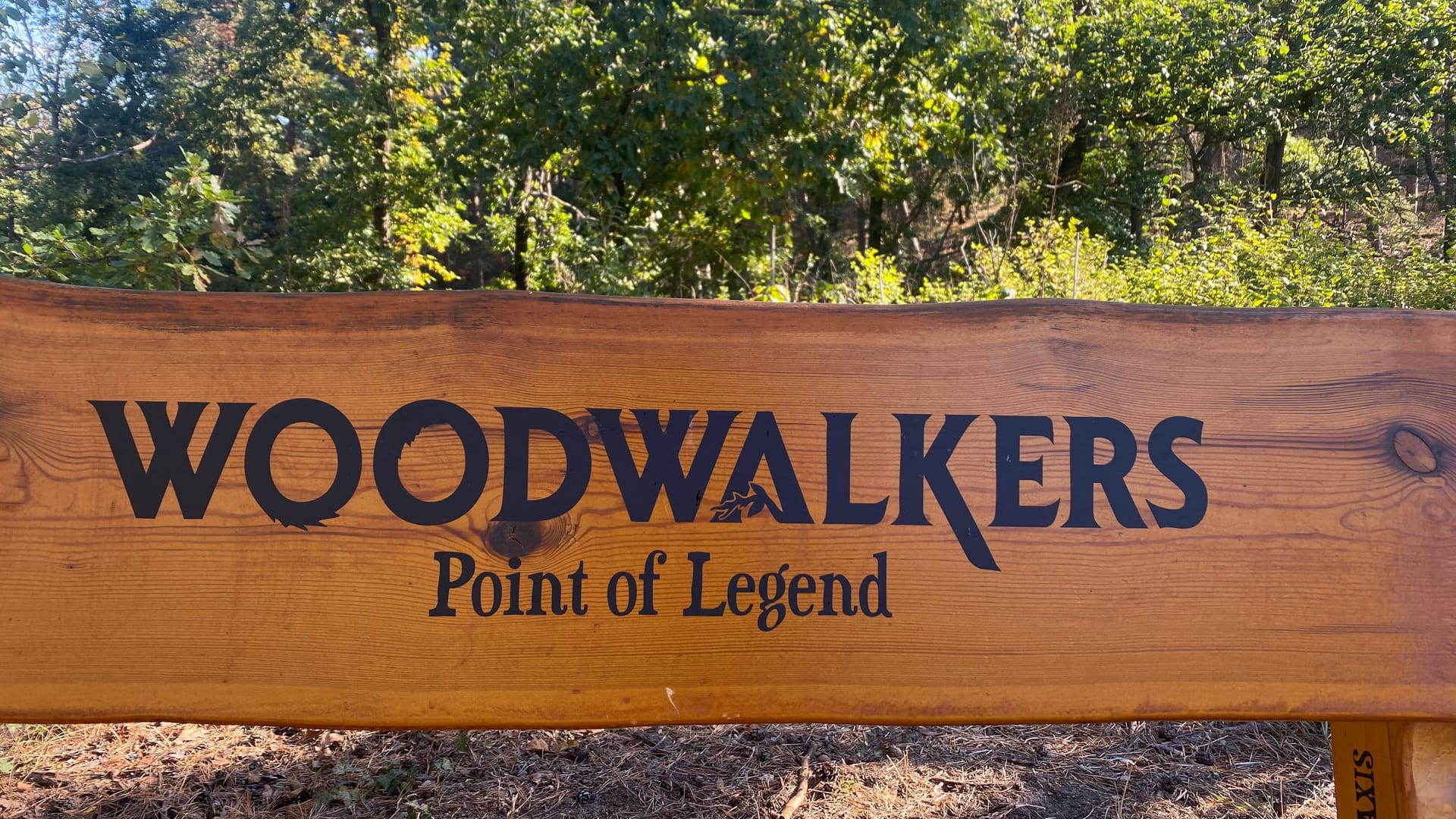 "Woodwalkers"-Bank: Sie steht auf dem Wanderweg Richtung Sandsteinhöhlen. "Woodwalkers"-Bank: Sie steht auf dem Wanderweg Richtung Sandsteinhöhlen.