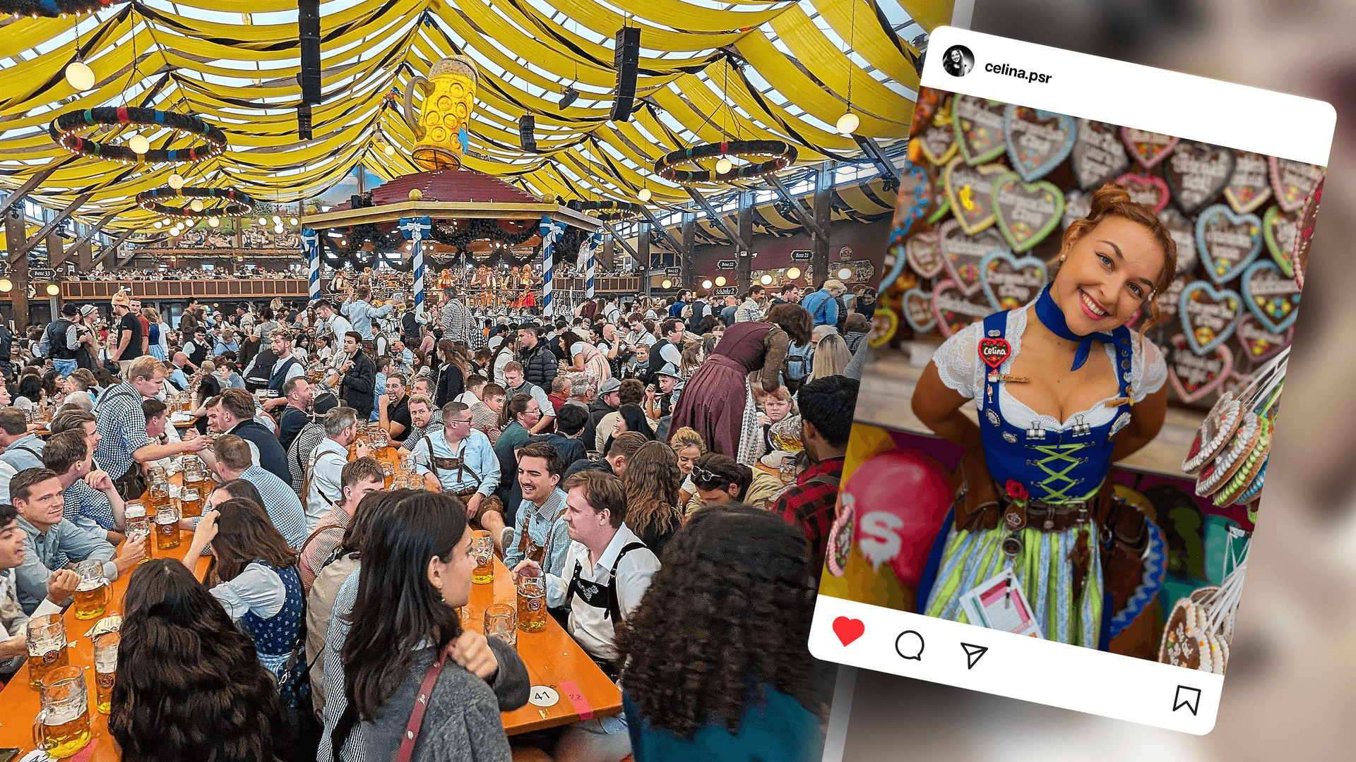 Volles Haus im Hacker-Festzelt während der Wiesn: Wiesn-Bedienung Celina begeistert mit ihren Geschichten vom Oktoberfest Hunderttausende. Volles Haus im Hacker-Festzelt während der Wiesn: Wiesn-Bedienung Celina begeistert mit ihren Geschichten vom Oktoberfest Hunderttausende.