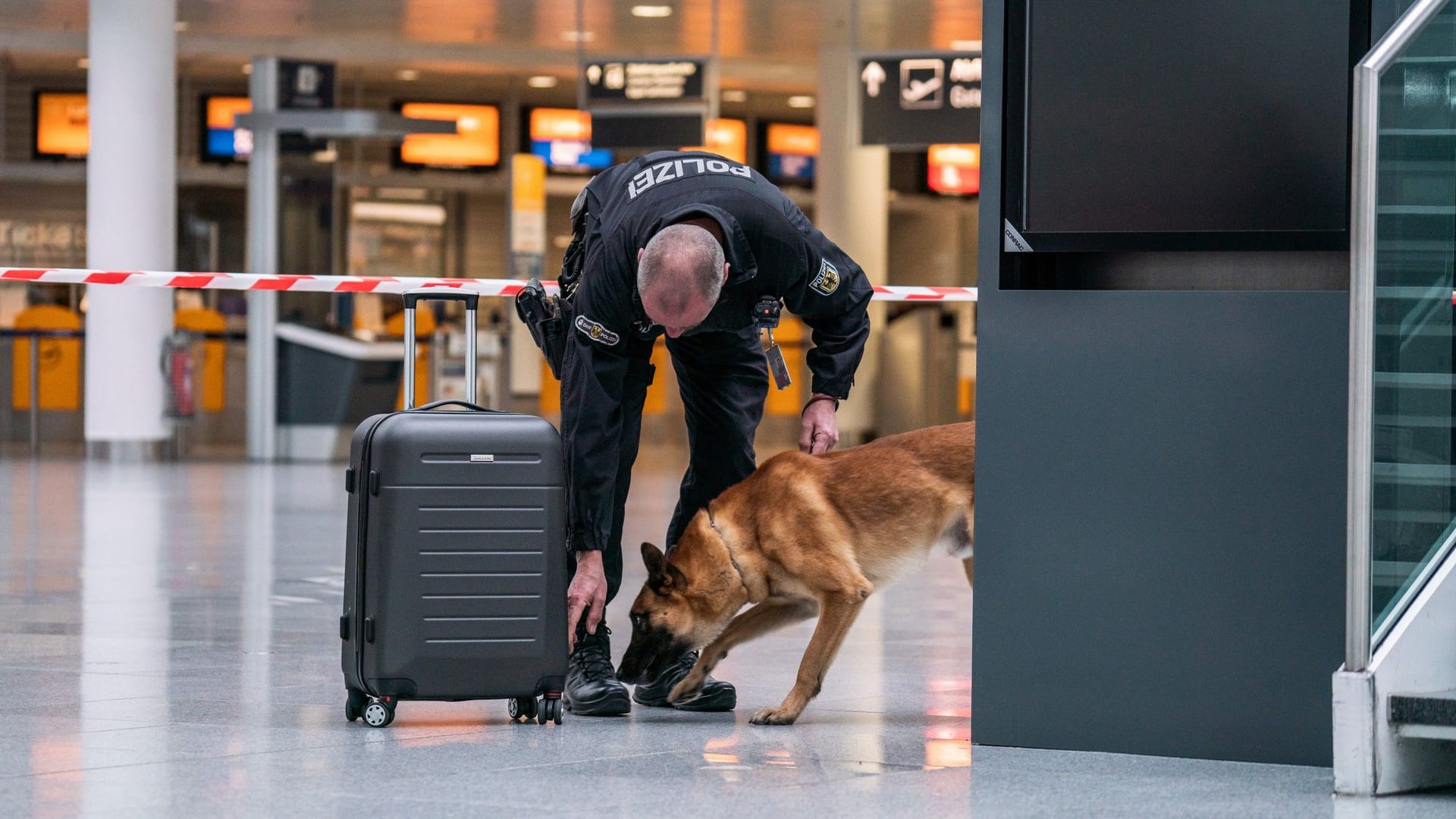 Polizist mit Sprengstoffspürhund untersucht verdächtigen Koffer im Terminal 1: Ein Mann hatte behauptet, darin befinde sich eine Bombe – der Bereich wurde abgesperrt. Polizist mit Sprengstoffspürhund untersucht verdächtigen Koffer im Terminal 1: Ein Mann hatte behauptet, darin befinde sich eine Bombe – der Bereich wurde abgesperrt.