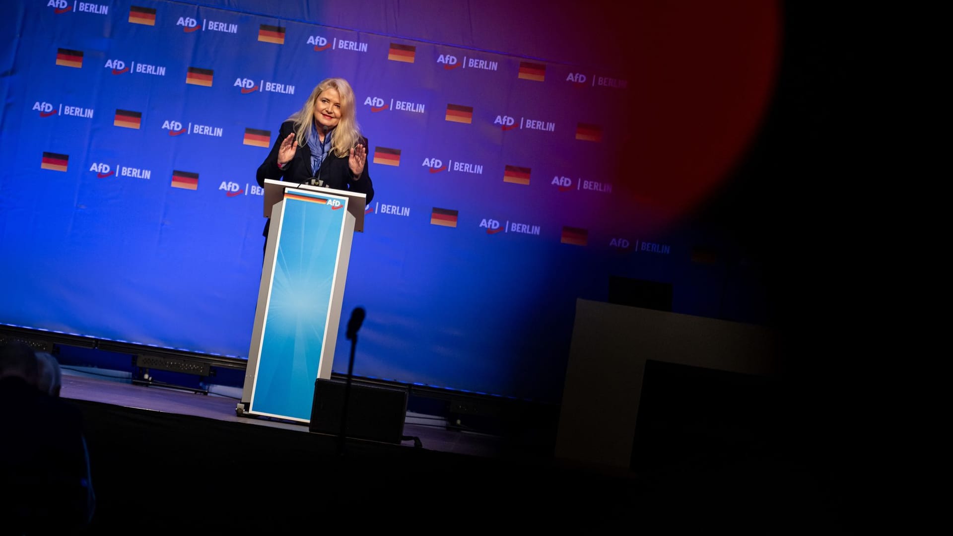 Parteitag AfD Berlin Parteitag AfD Berlin