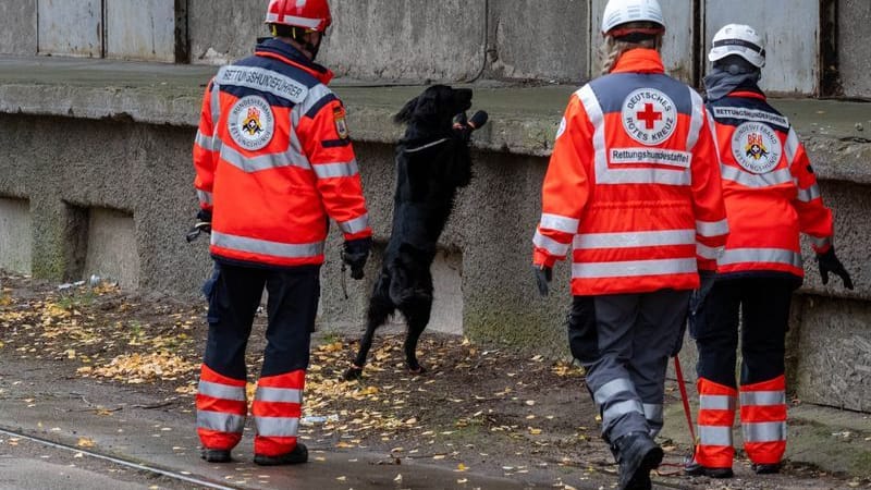 Bei der Suche nach Fabian werden auch zahlreiche Hunde eingesetzt. Bei der Suche nach Fabian werden auch zahlreiche Hunde eingesetzt.